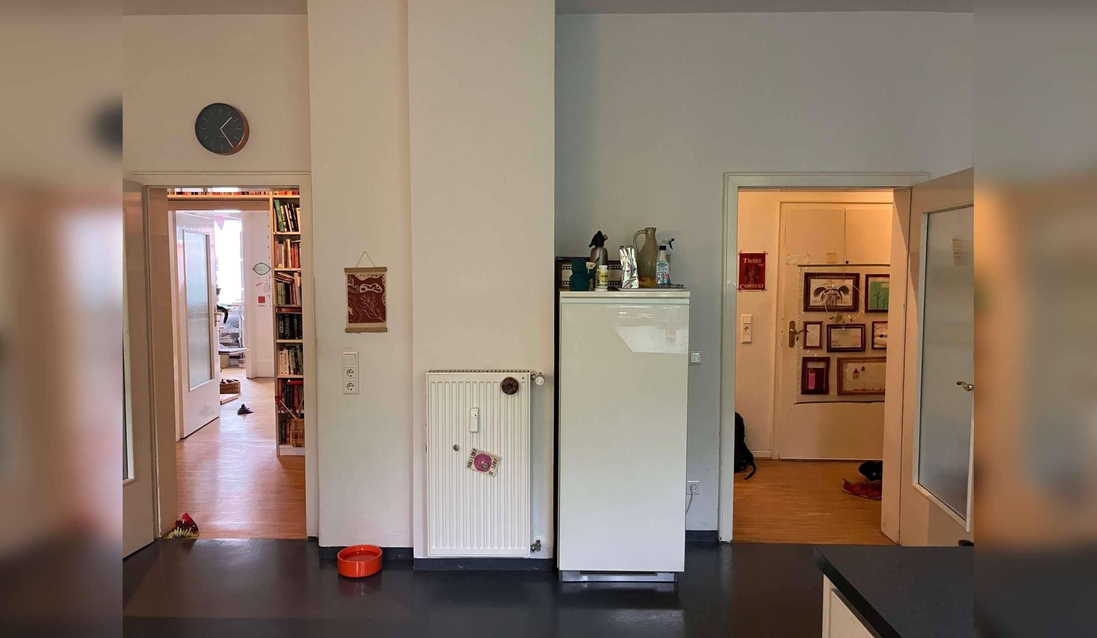 Three friendly indoor cats in spacious flat in Germany - Image 6