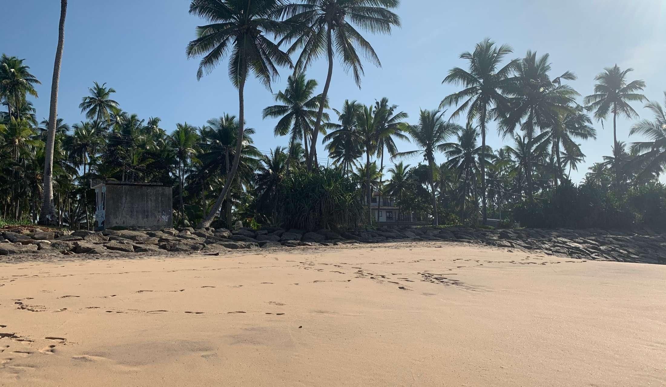 Living in Paradise - Image 4