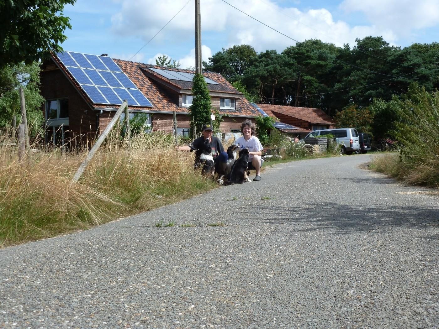 Small eco hobbyfarm in the meadows