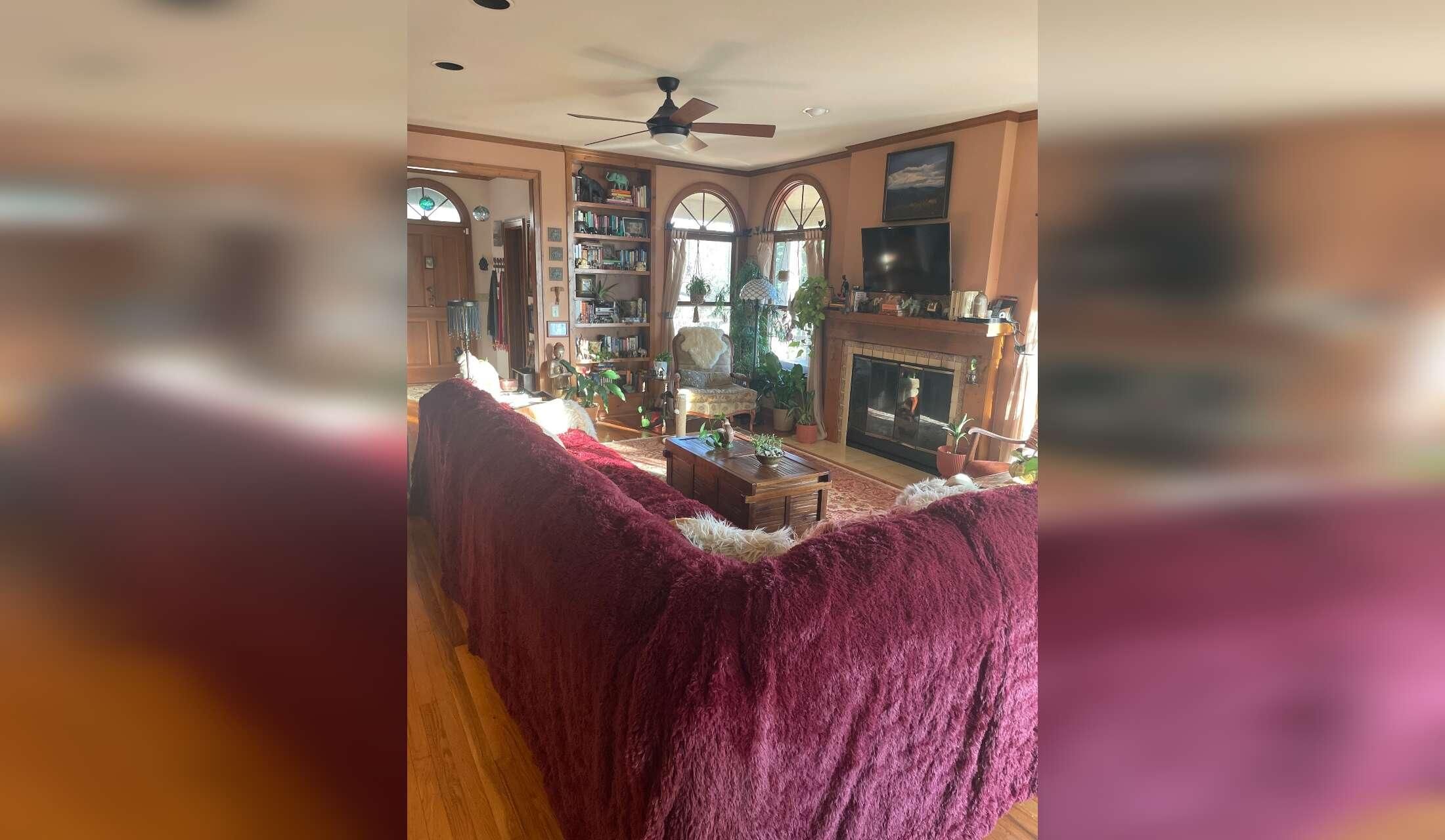 Beautiful Home, Cats, Plant Care - Image 4