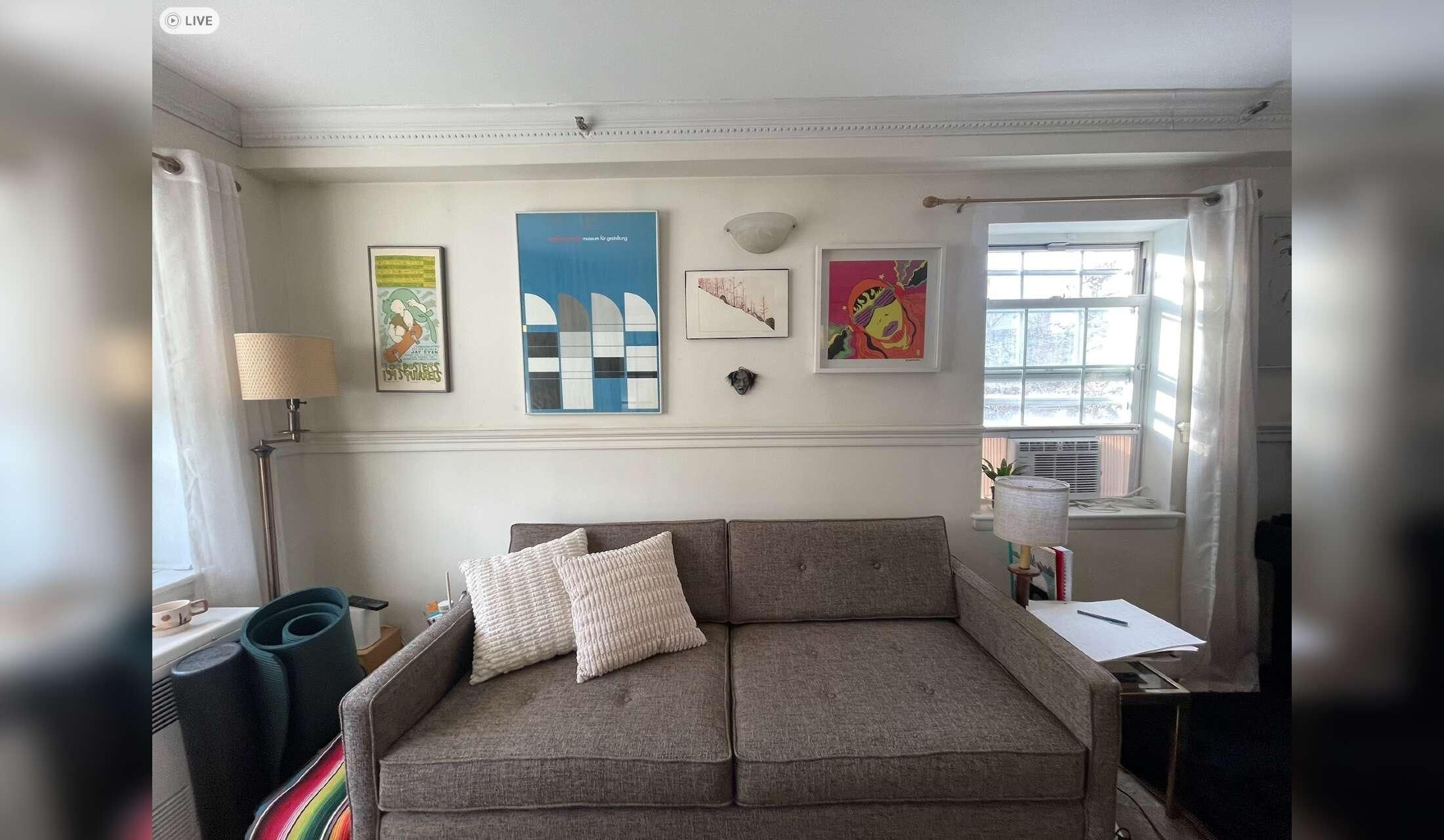 Seeking loving sitter for my kitten Ziggy in Brooklyn - Image 4