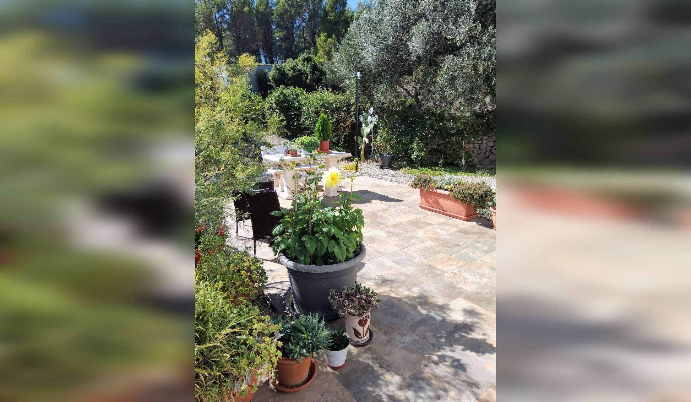 House and pet sitter wanted 28 October > 11th December 2026, Atzeneta del Maestrat, Castellón, Spain - Image 2