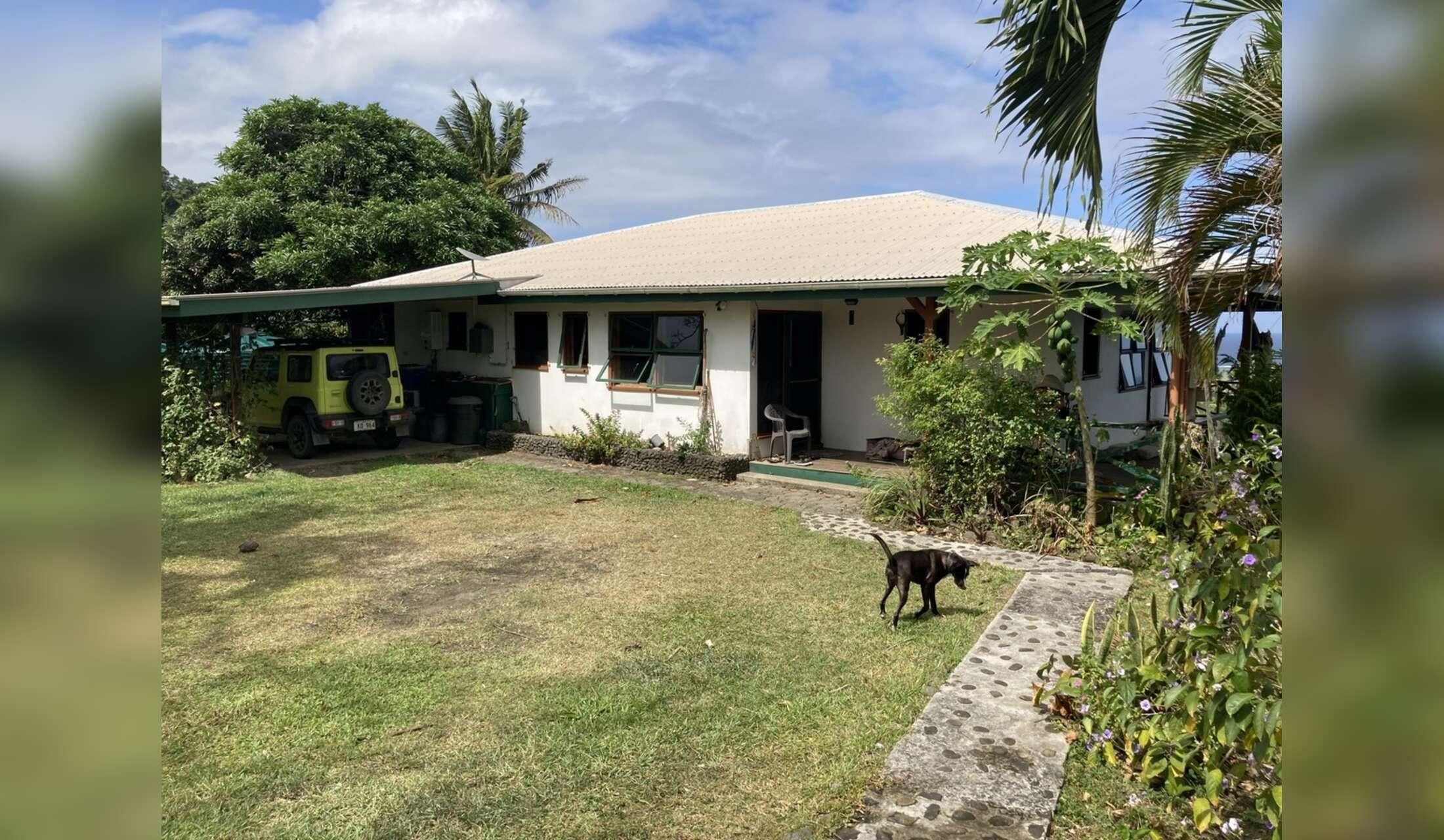 Fancy a 6 week holiday in an idyllic location in Fiji?  Dog/Cat Sitter needed! - Image 7