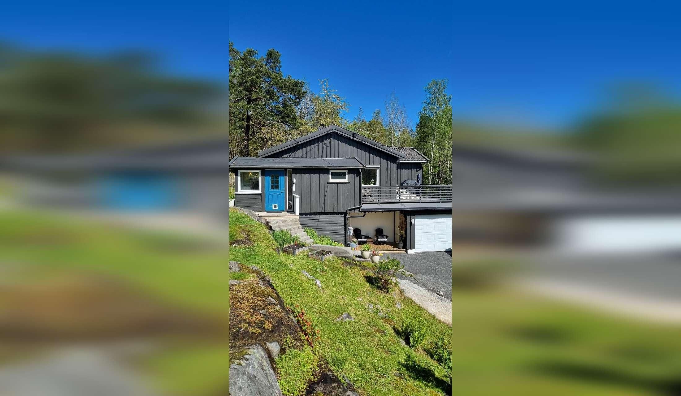 Hus og kattepasser i Arendal - Image 4