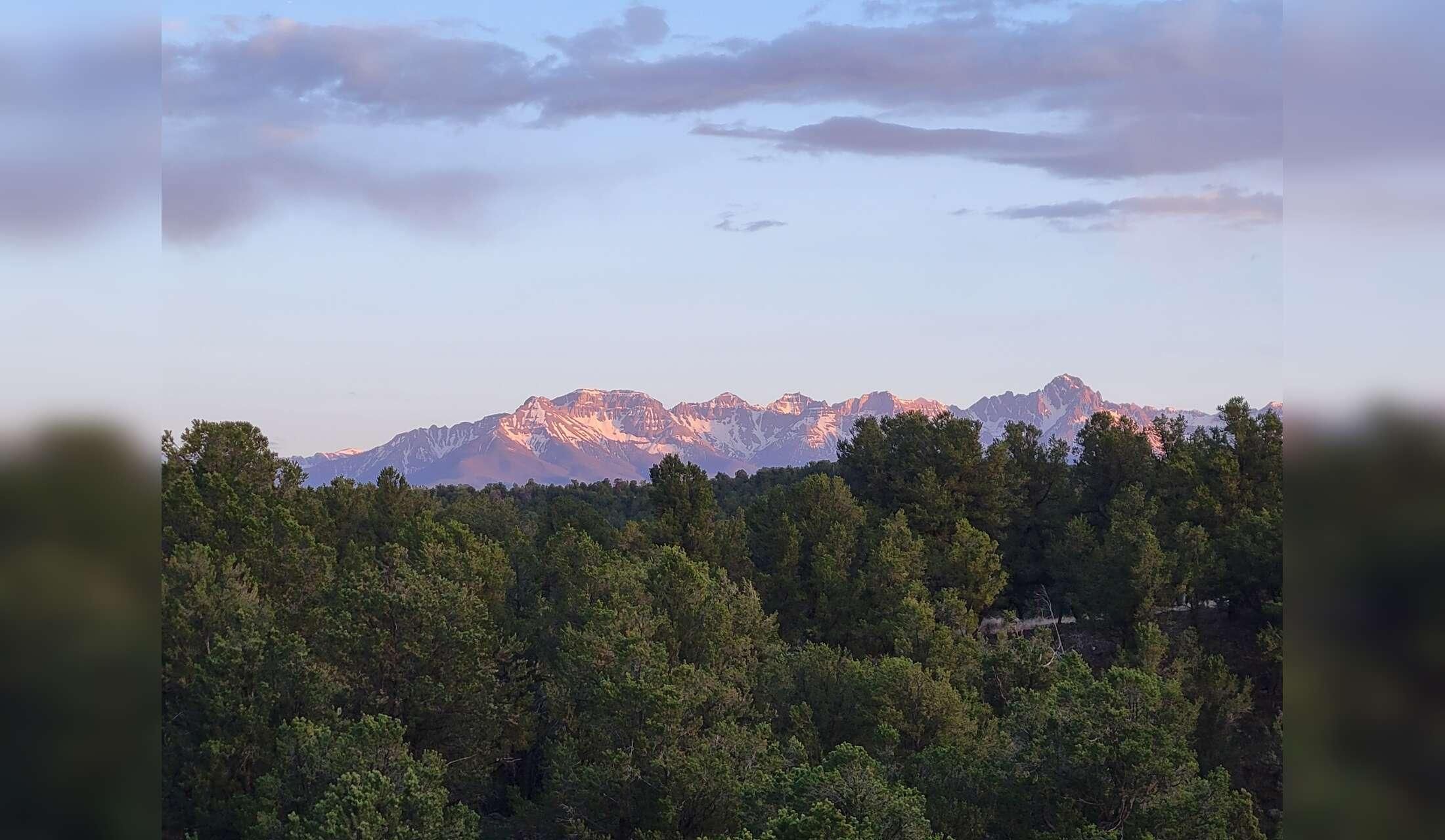 Cat Sitter needed in a beautiful, small mountain town in Colorado - Image 8