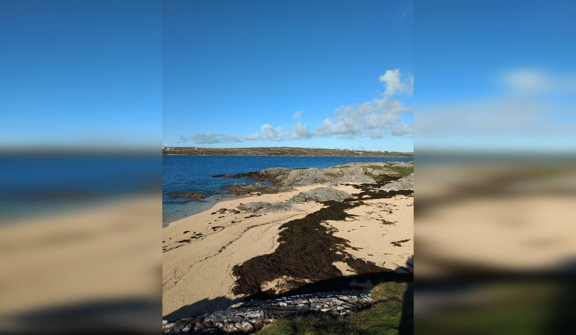 Looking for a house and pet sitter near the beach in Connemara, Ireland - Image 6