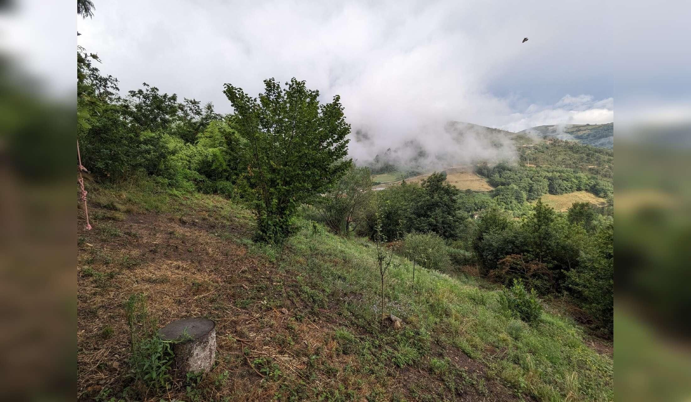Cat sitting in the mountains - Image 3