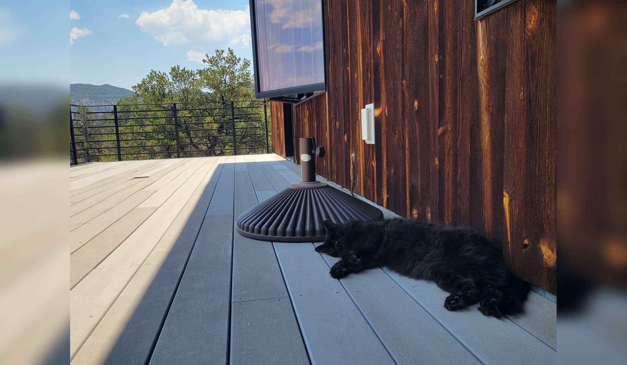 Cat Sitter needed in a beautiful, small mountain town in Colorado - Image 4