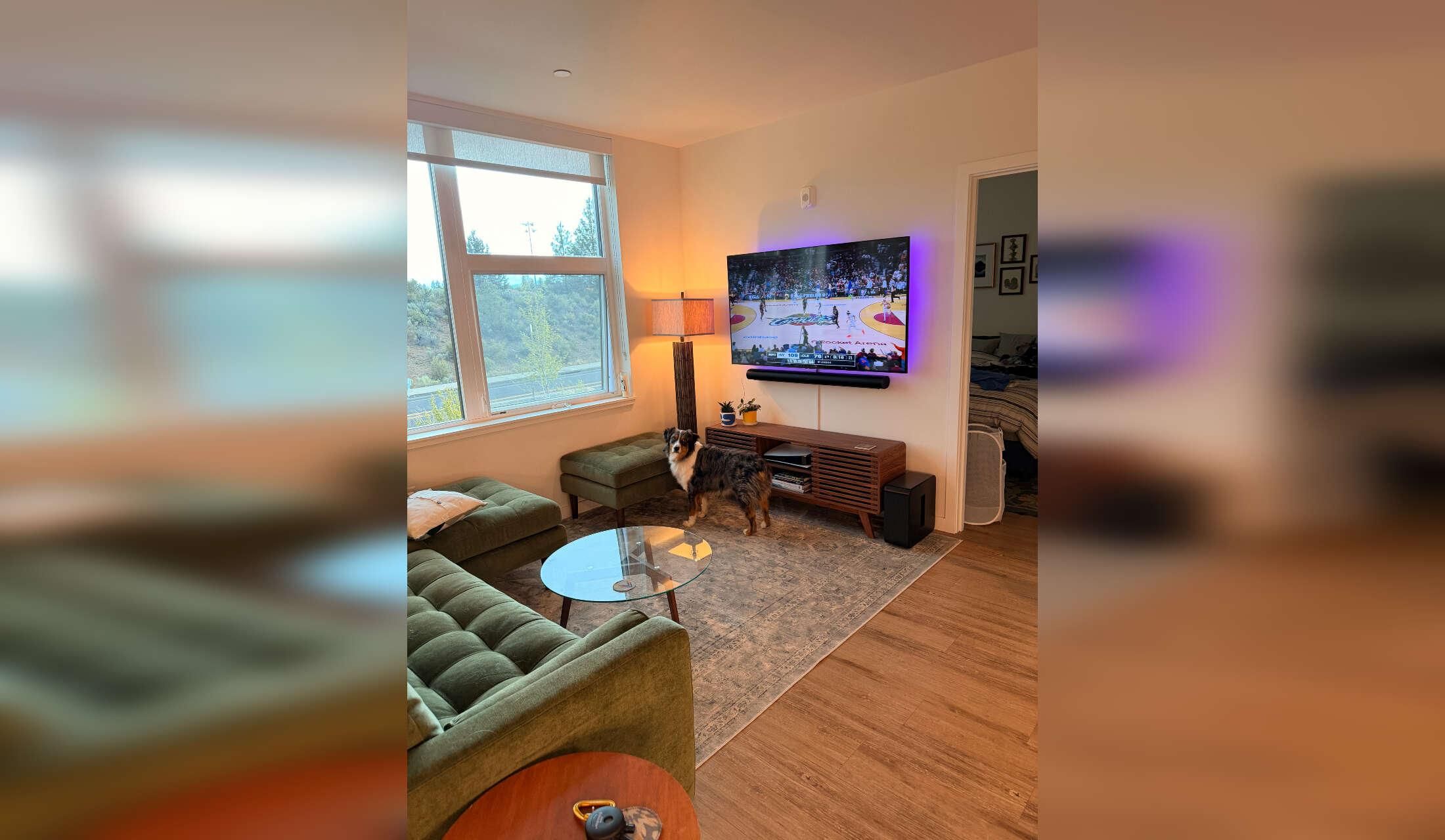 Cute Aussie in bright apartment on Bend's westside - Image 10