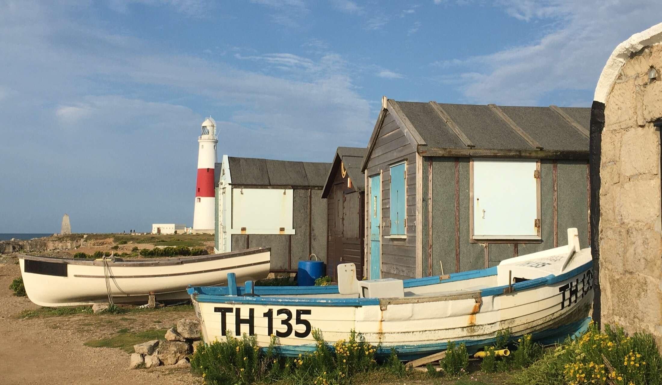 Dog lover for house sit in Dorset, UK - Image 6
