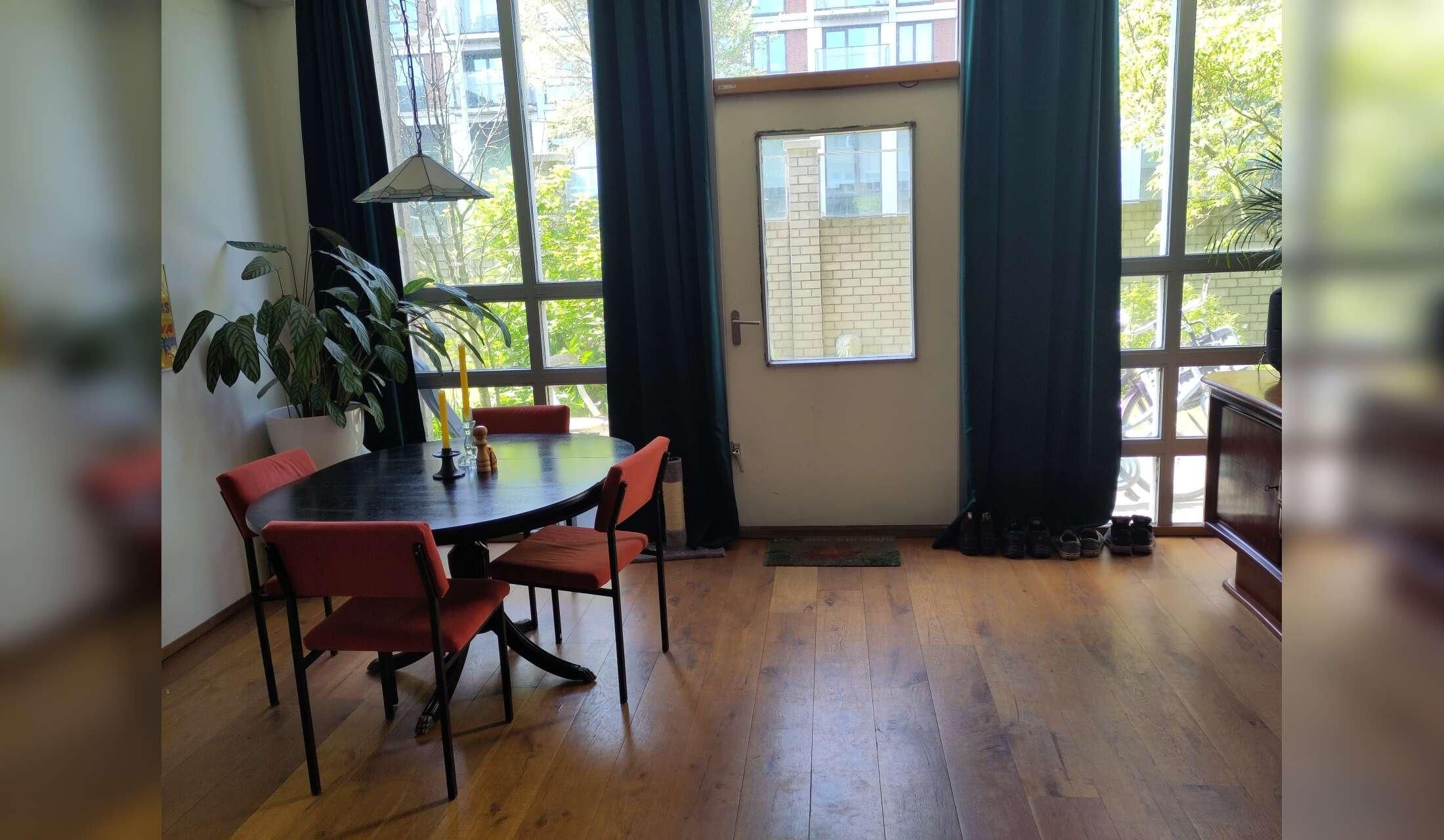 Cat/housesitting in Amsterdam Noord - Image 2