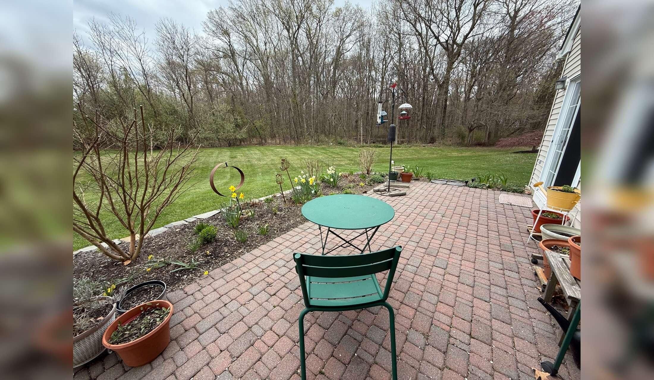 Cat sitter needed October 13-22  close to Princeton NJ - Image 8
