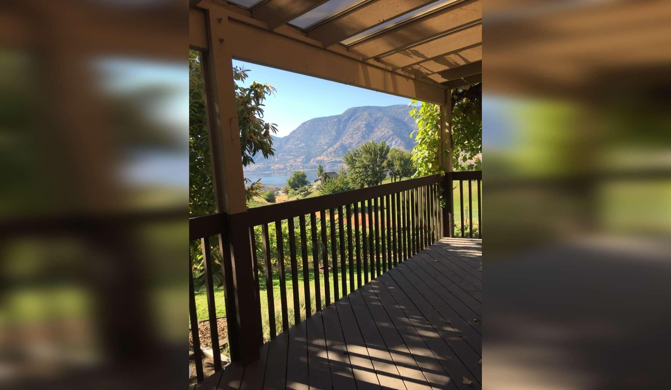 Spend Fall in Beautiful Penticton, BC — Loving Senior Dog Looking for a Companion