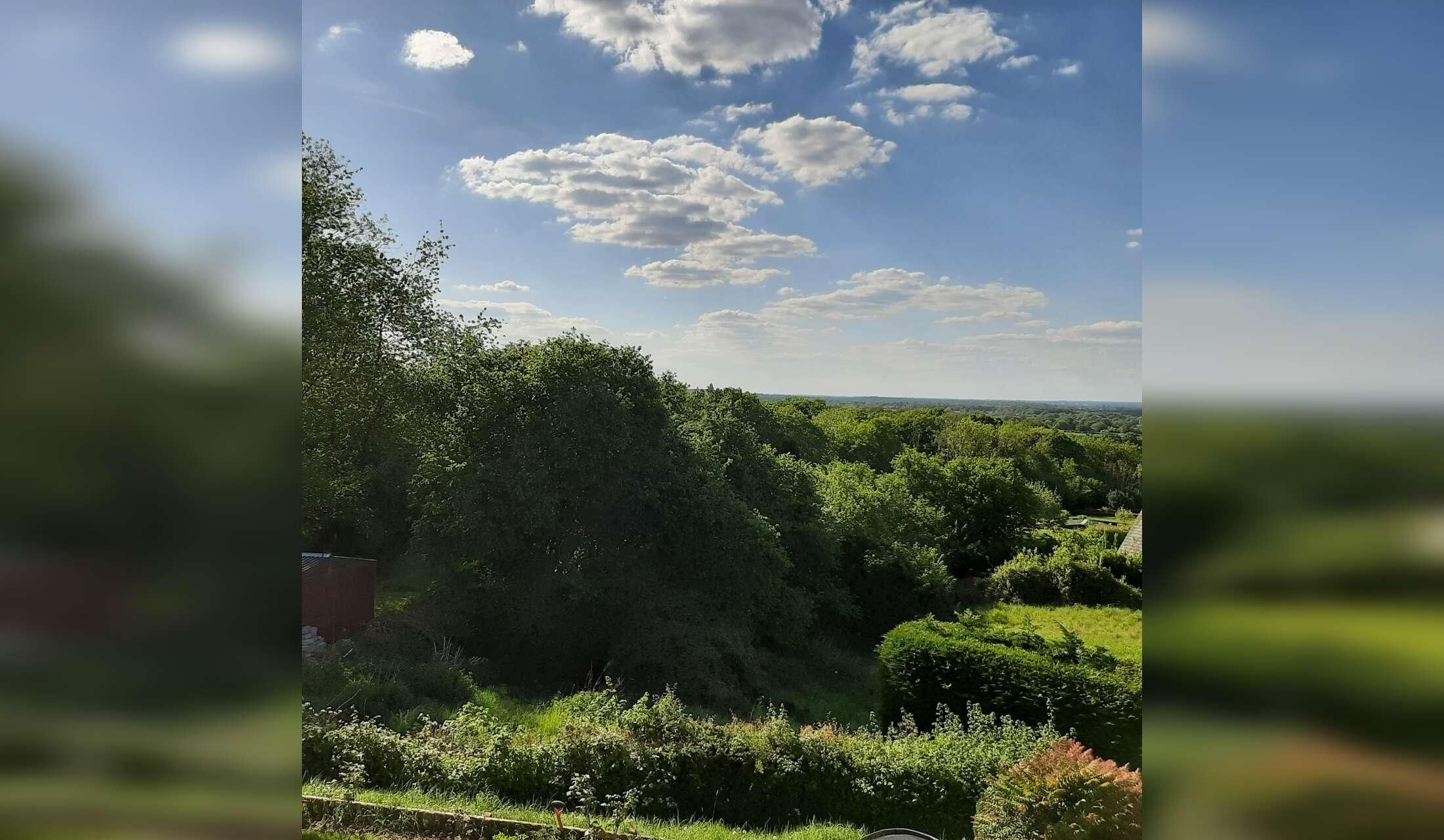 House & Pet sit in Wiltshire. Flexible dates in October and November - Image 2
