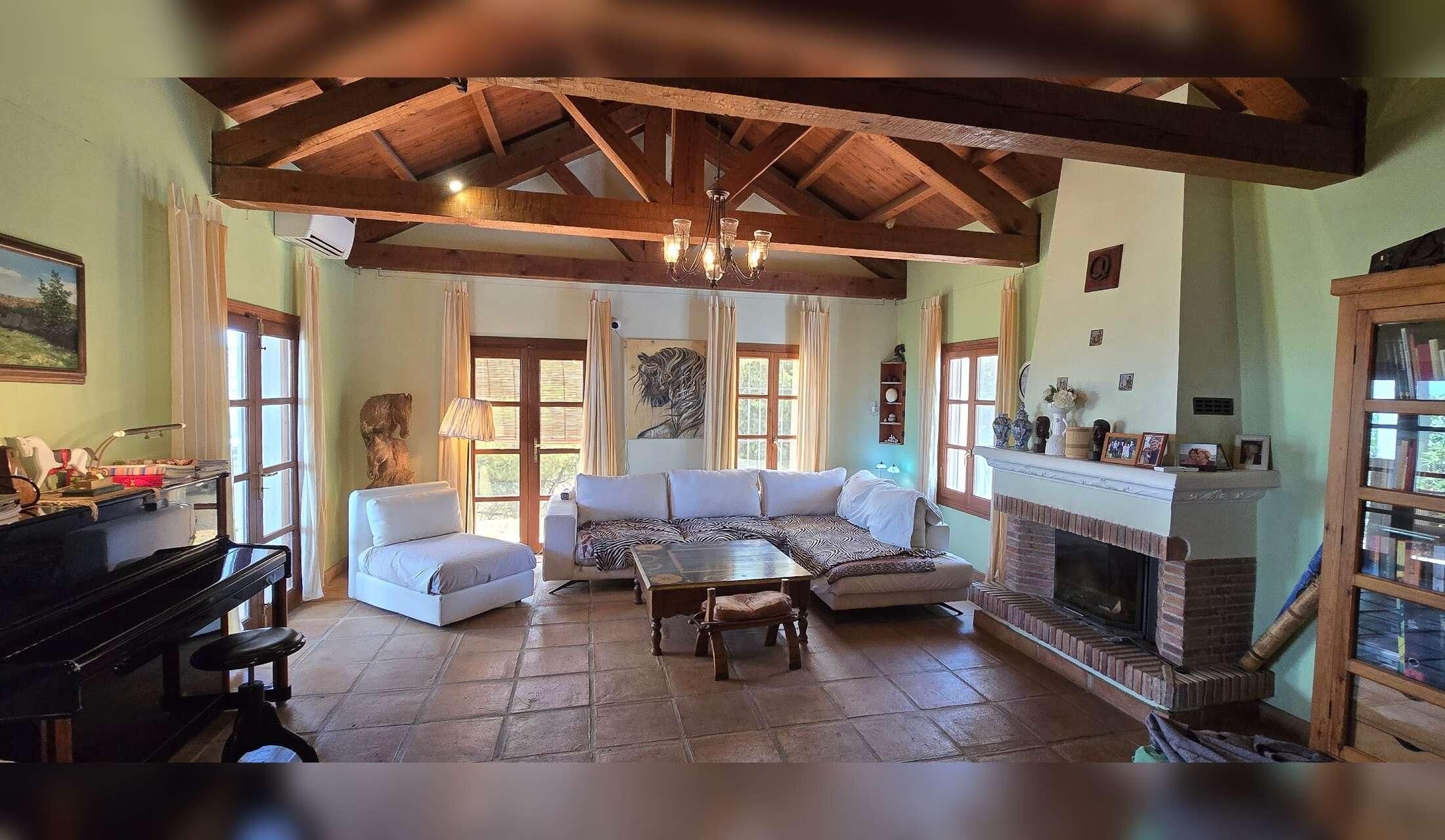 Finca in Andalucia offering pet sitting holidays - Image 4