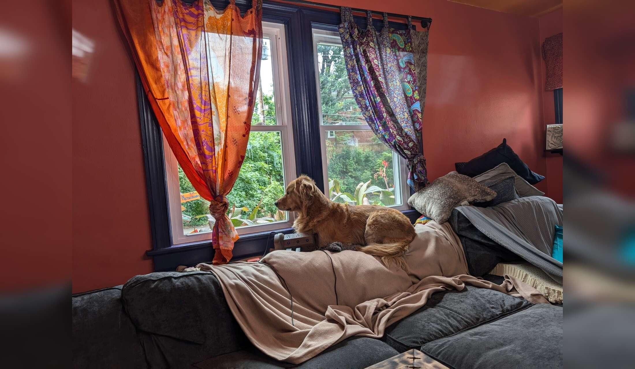 Colorful, eclectic 2 story home, complete with two affectionate cuddly dogshome, - Image 3