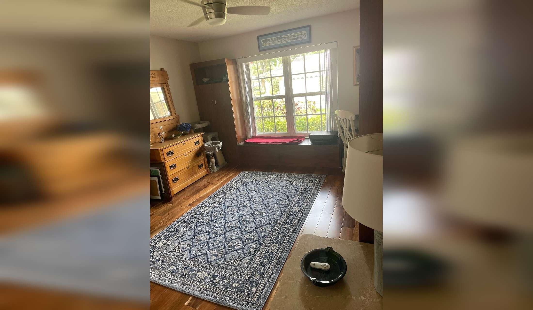 “Cozy Home + Two Sweet Cats Seeking Long-Term, Caring Sitter” - Image 2
