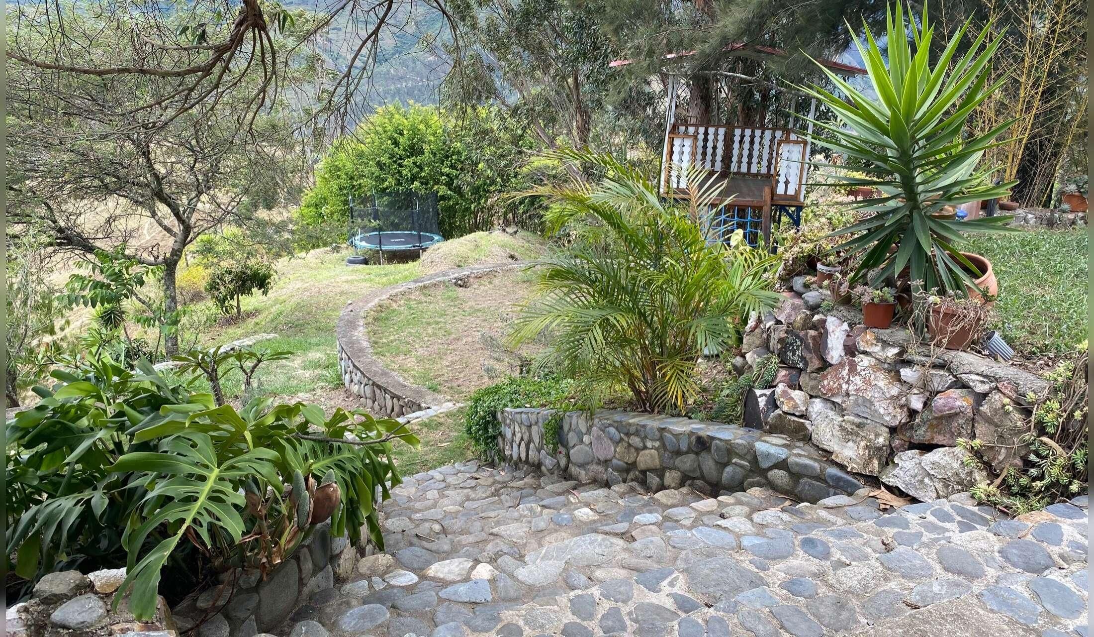 House/animal sitter in southern Ecuadorian Andes - Image 8