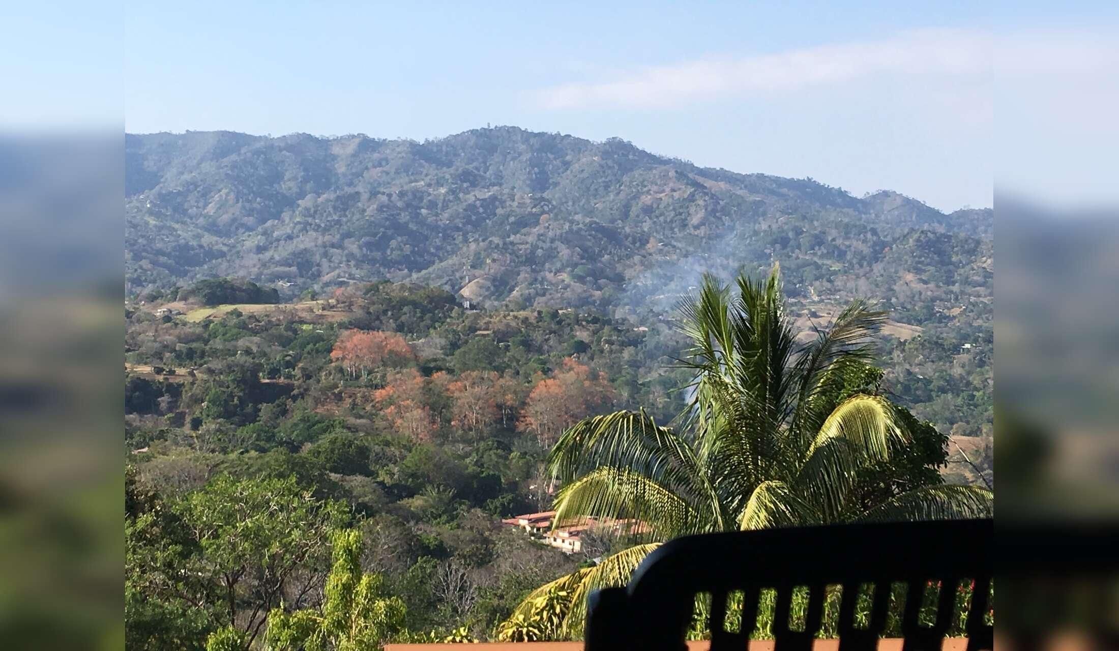 Looking for trustworthy caring and responsible single or couple to look after our house and garden in Costa Rica - Image 6