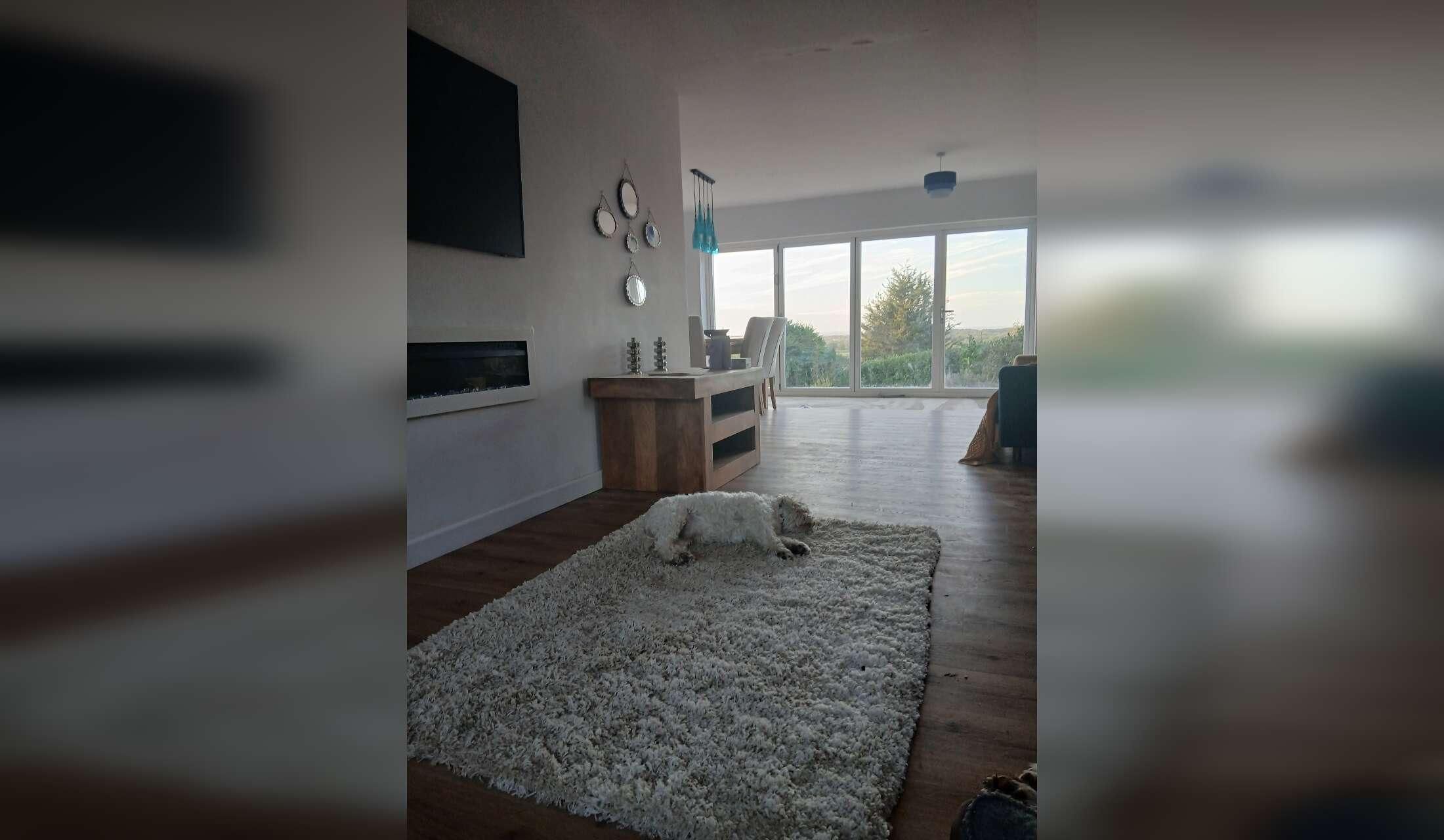 House & Pet sit in Wiltshire. Flexible dates in October and November