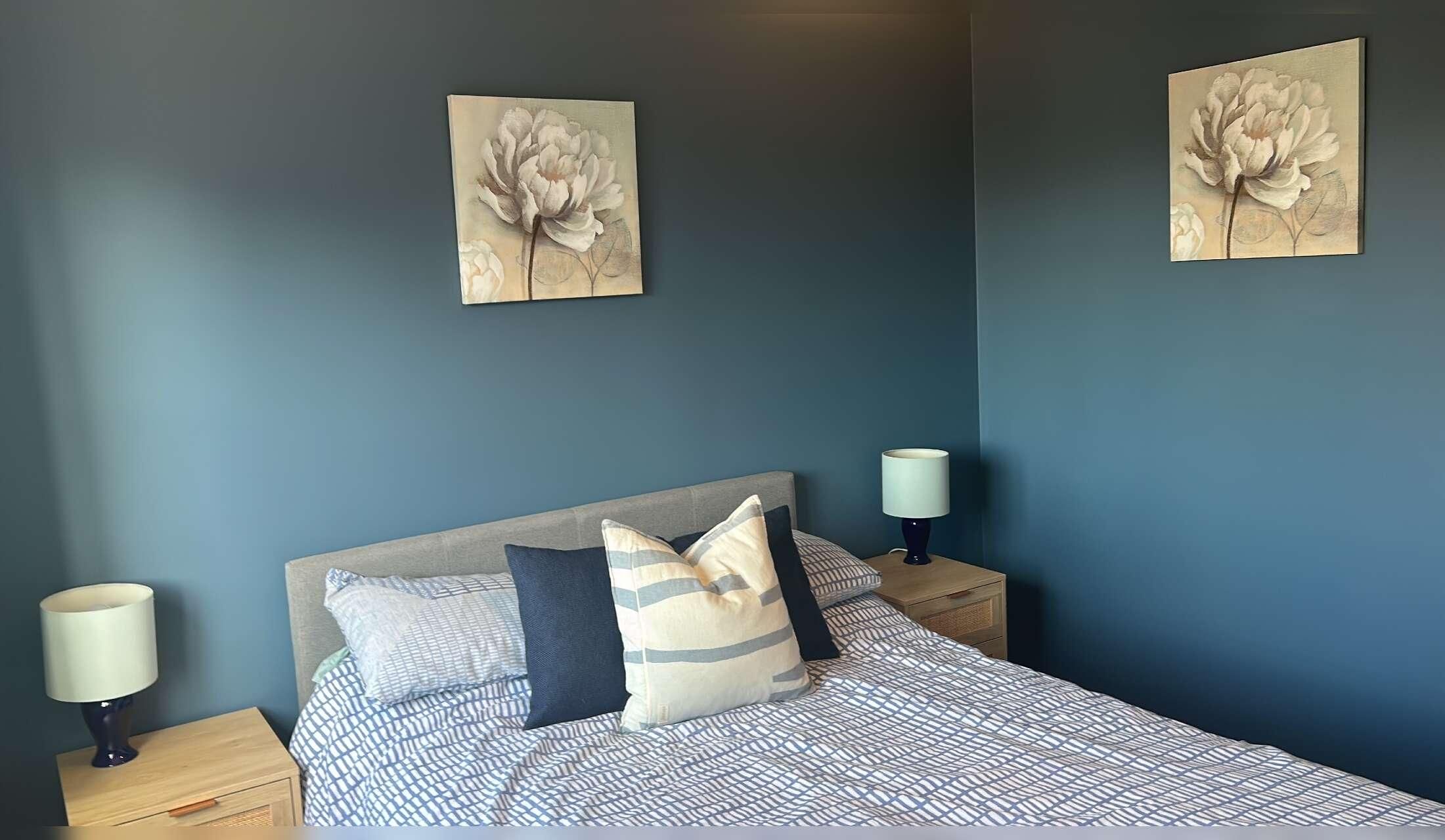 House sitting in Somerset - Image 8