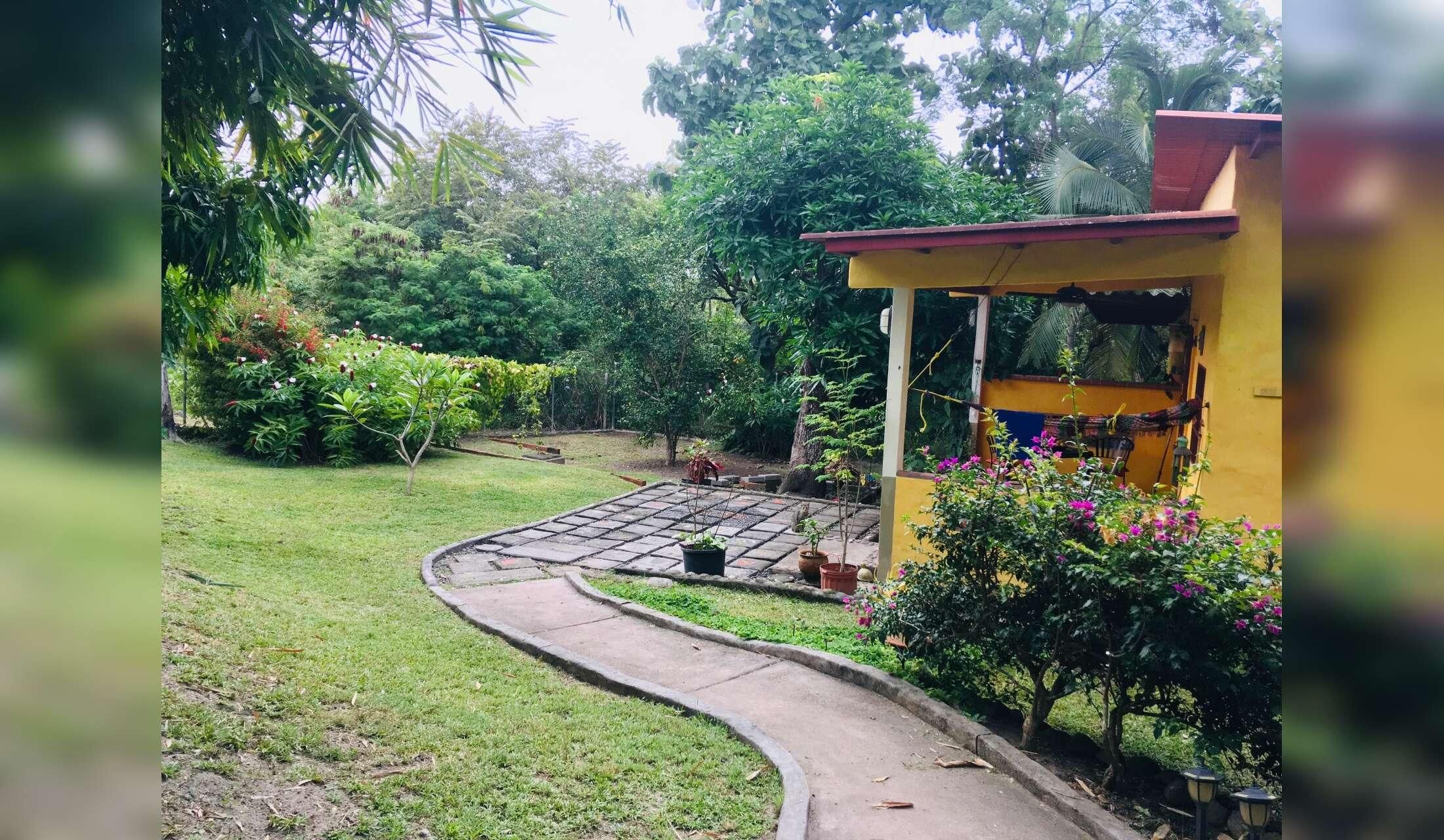 Looking for a couple to live close to the beach with 4 cats, Maggie, a senior dog, and a chicken. Close to the beach near San Carlos, Panamá