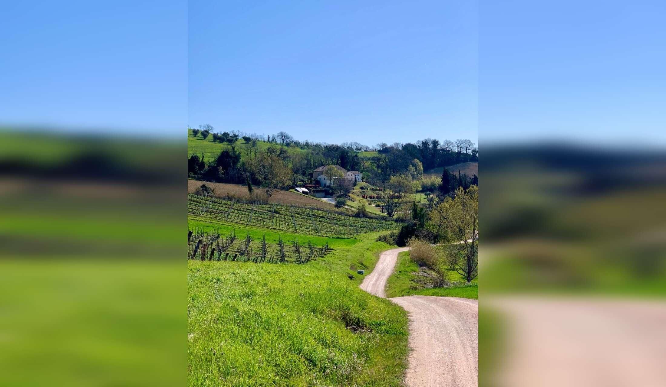 Looking for Italy lovers who like to look after our Countryhouse and 3 cats - Image 8