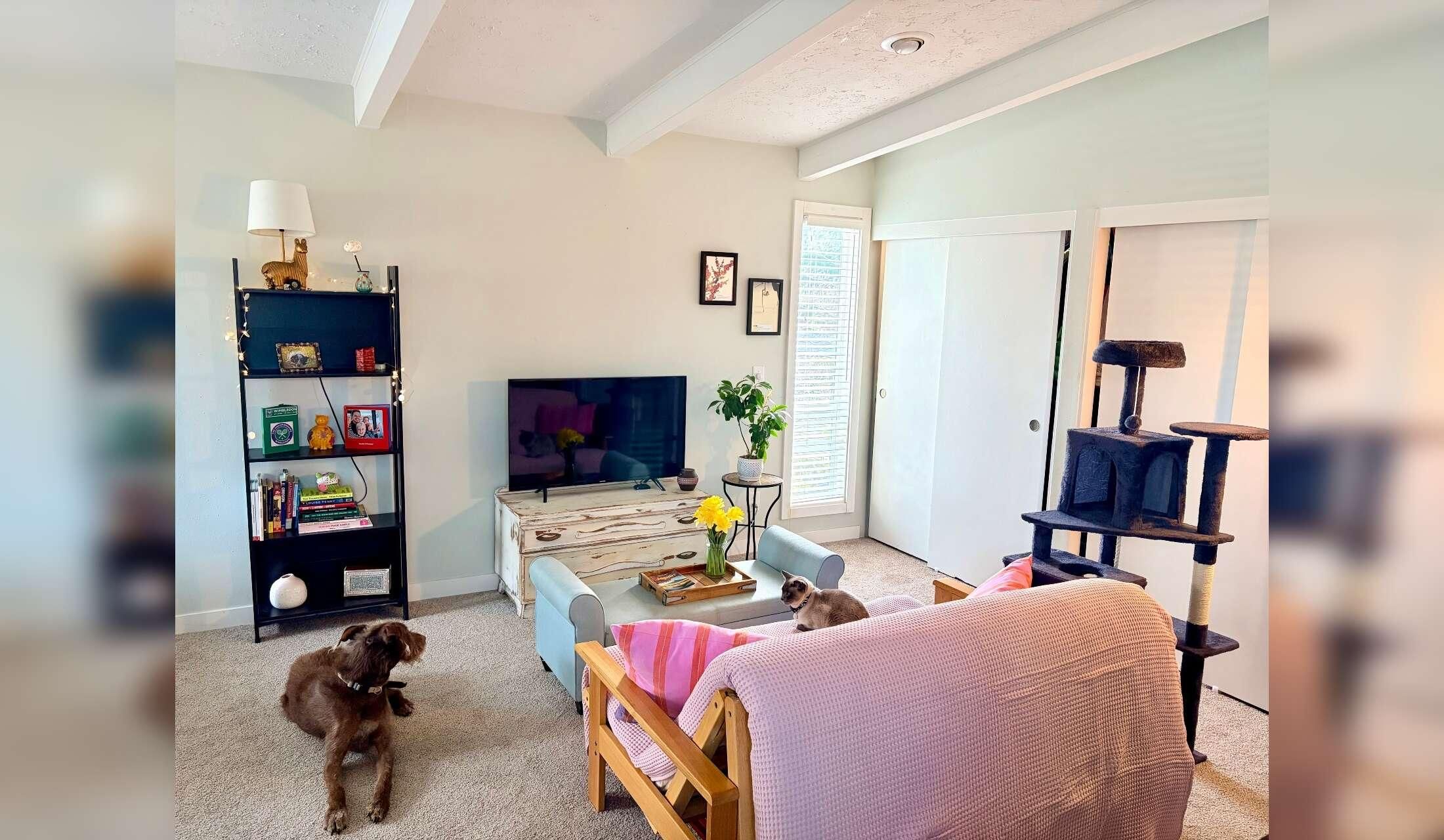 Walkable Portland, OR Retreat - November Dates — Meet Higgins & Marge - Image 3