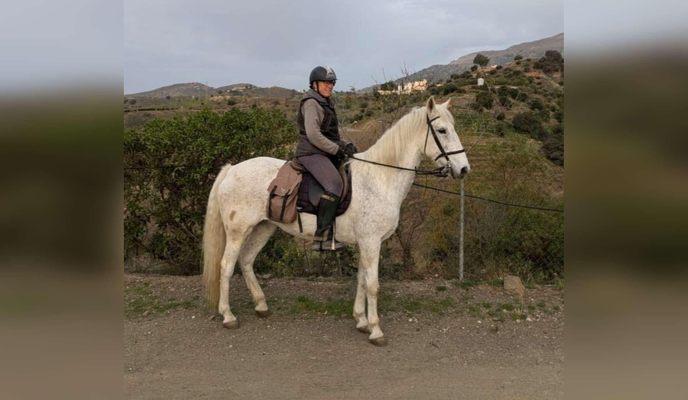 House sitter wanted for 3 weeks in March 2027 for quirky eco-friendly household in rural Andalucía, with beautiful mountain view and peaceful location - Image 2