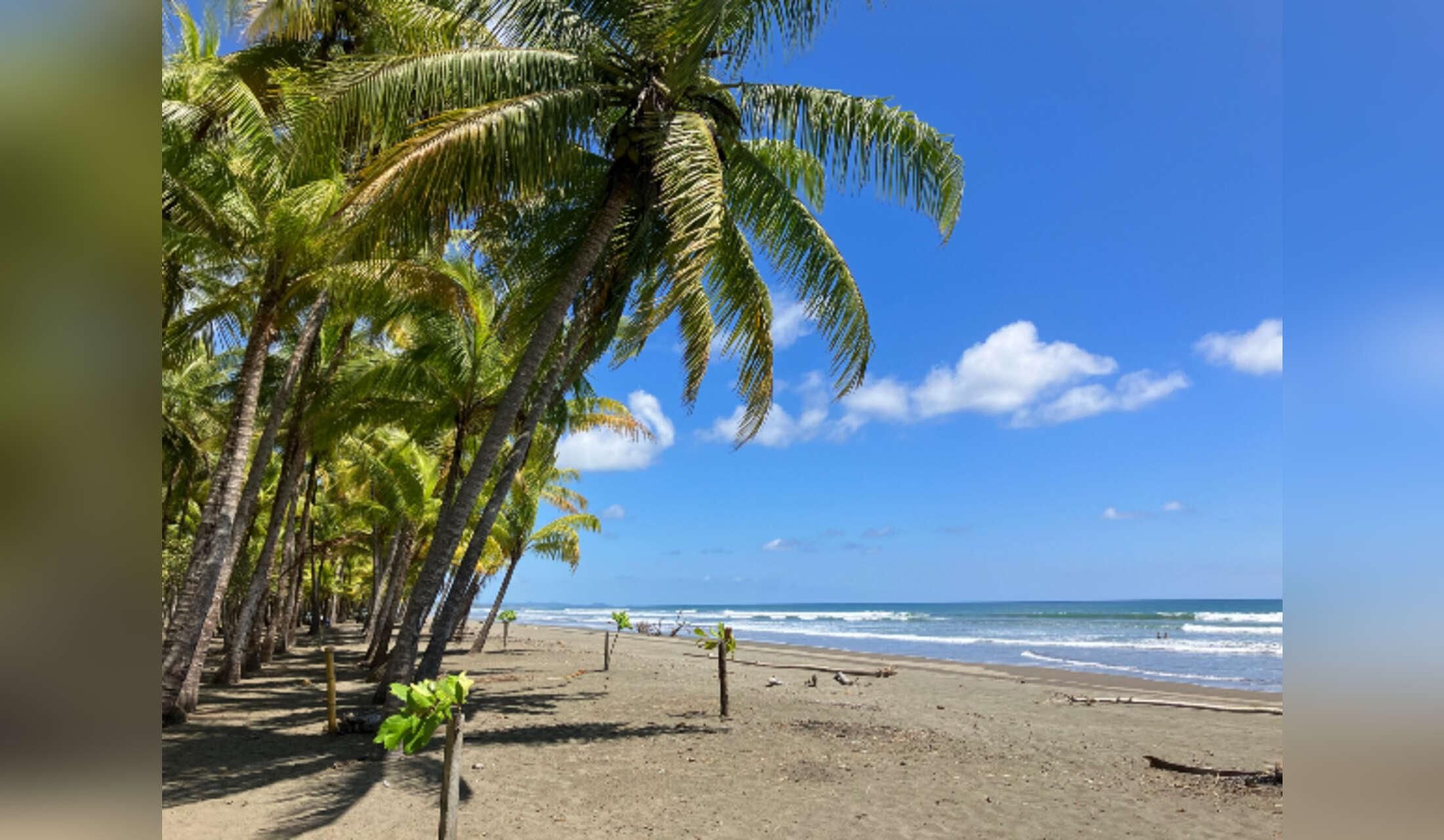 Tropical Paradise with Private Waterfall & Infinity Pool ? Dog Lovers Wanted! ?? - Image 6
