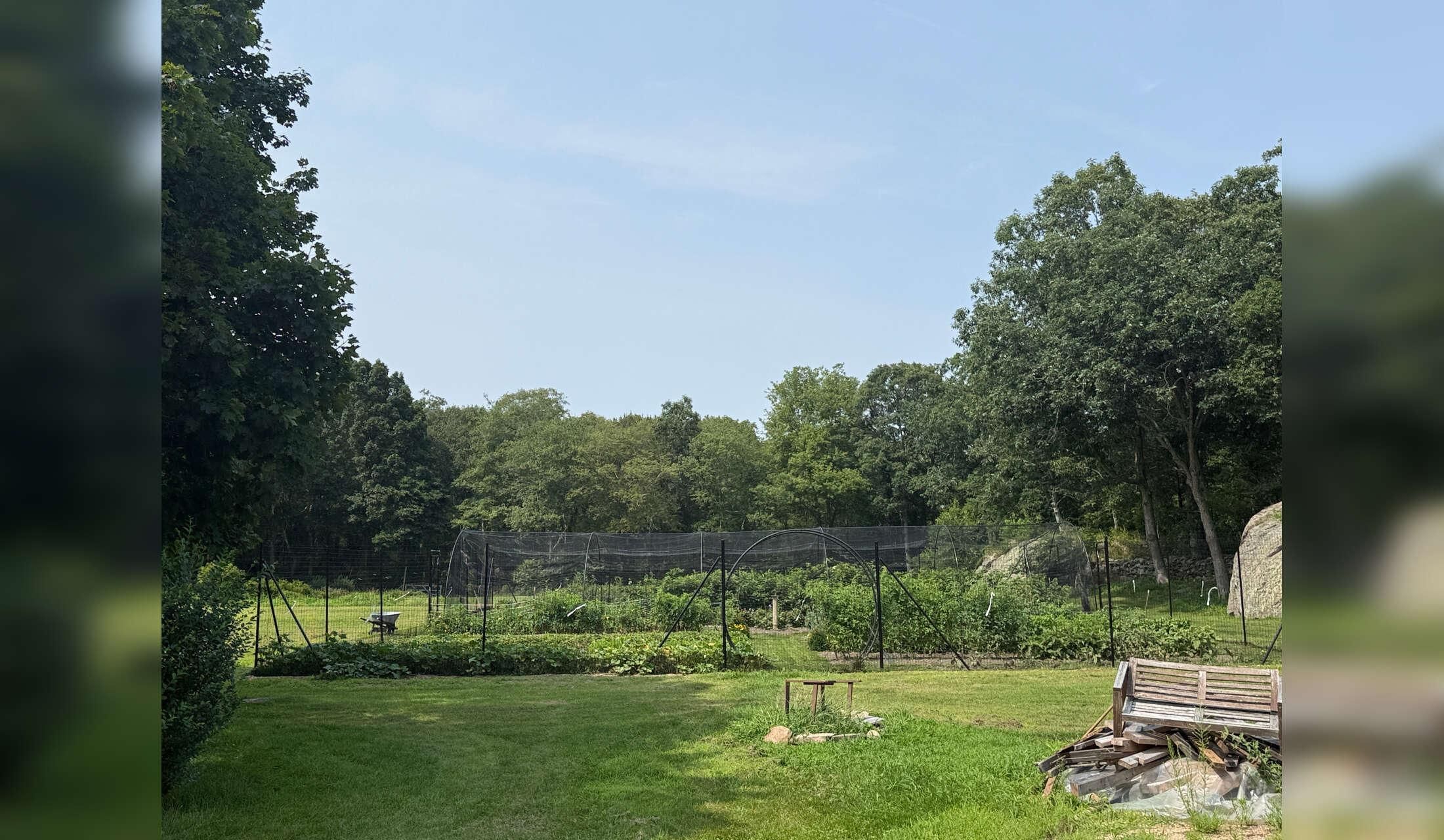 October in Rhode Island: no pets, just houseplant and garden watering - Image 9