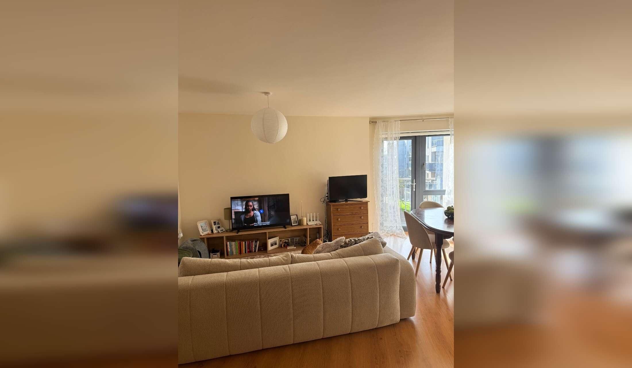 Cosy apartment in Fairview (D3) + 2 super friendly cats looking for a sitter - Image 7