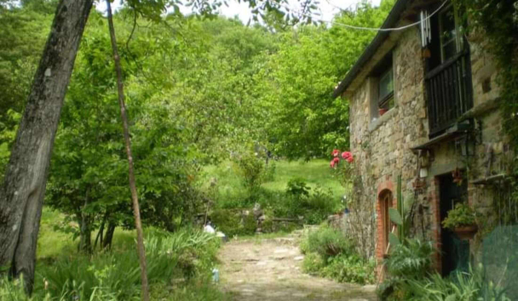 Cerco cat Sitter Casa di campagna in Toscana - Image 7