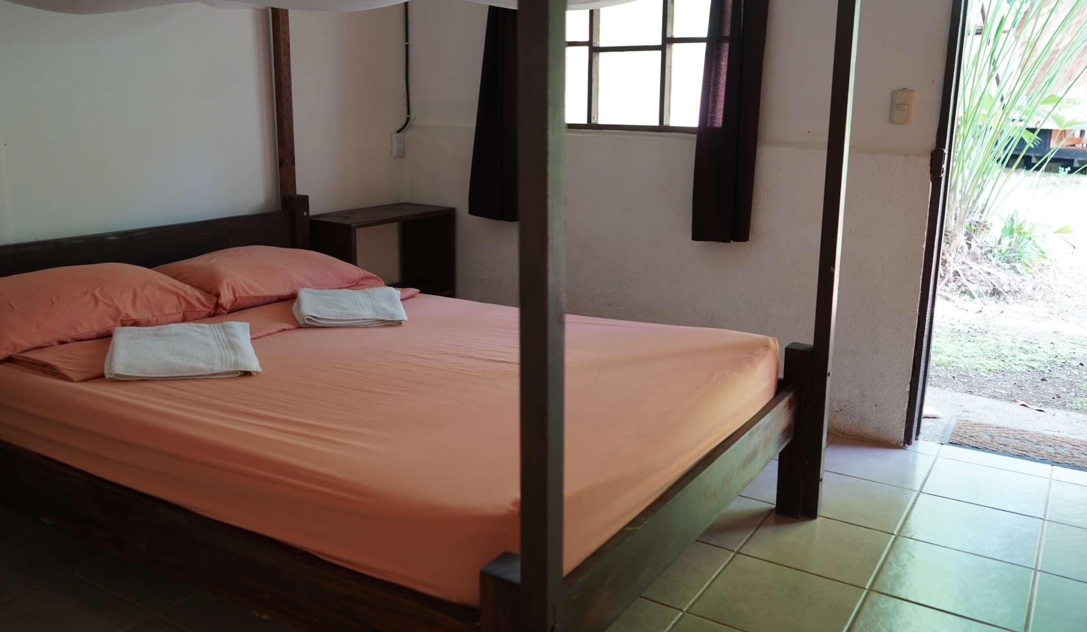 Looking for pet / house sitter for April 2027 in Costa Rica - Image 7