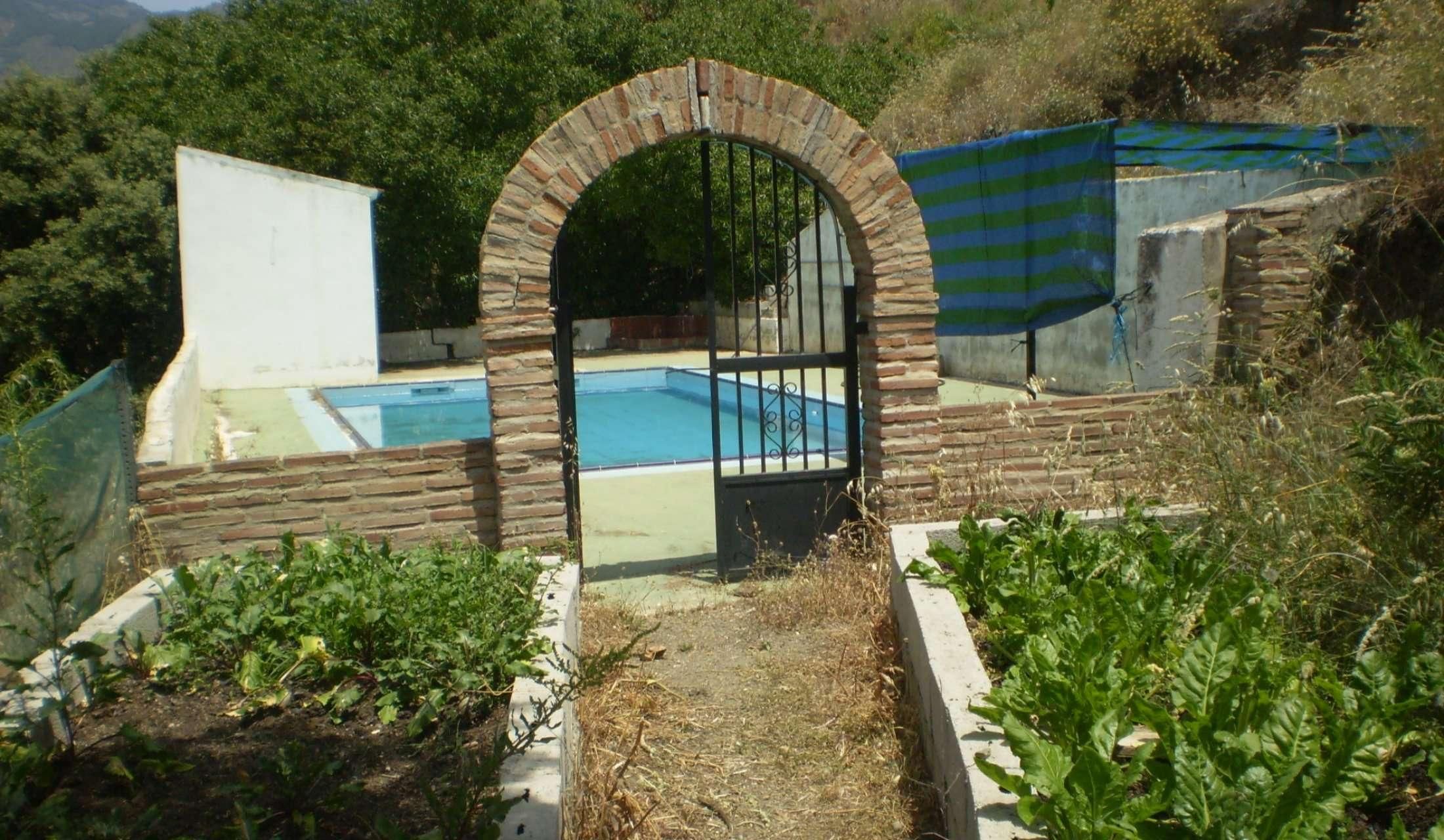 House sitter wanted for 3 weeks in March 2027 for quirky eco-friendly household in rural Andalucía, with beautiful mountain view and peaceful location - Image 7