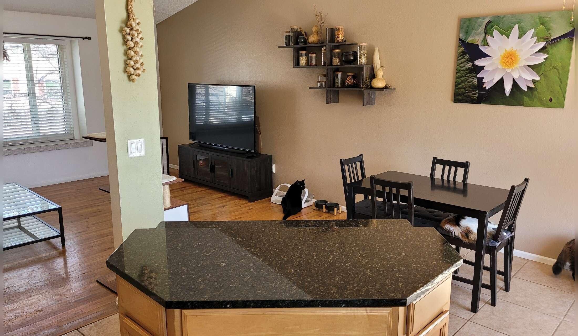Looking for a house and cat sitter - Image 5
