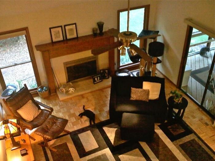 Cat lovers needed to care for contemporary home nestled in wooded neighborhood (lots of privacy, yet close to Durham/Raleigh/Chapel Hill, North Carolina, USA) - Image 4