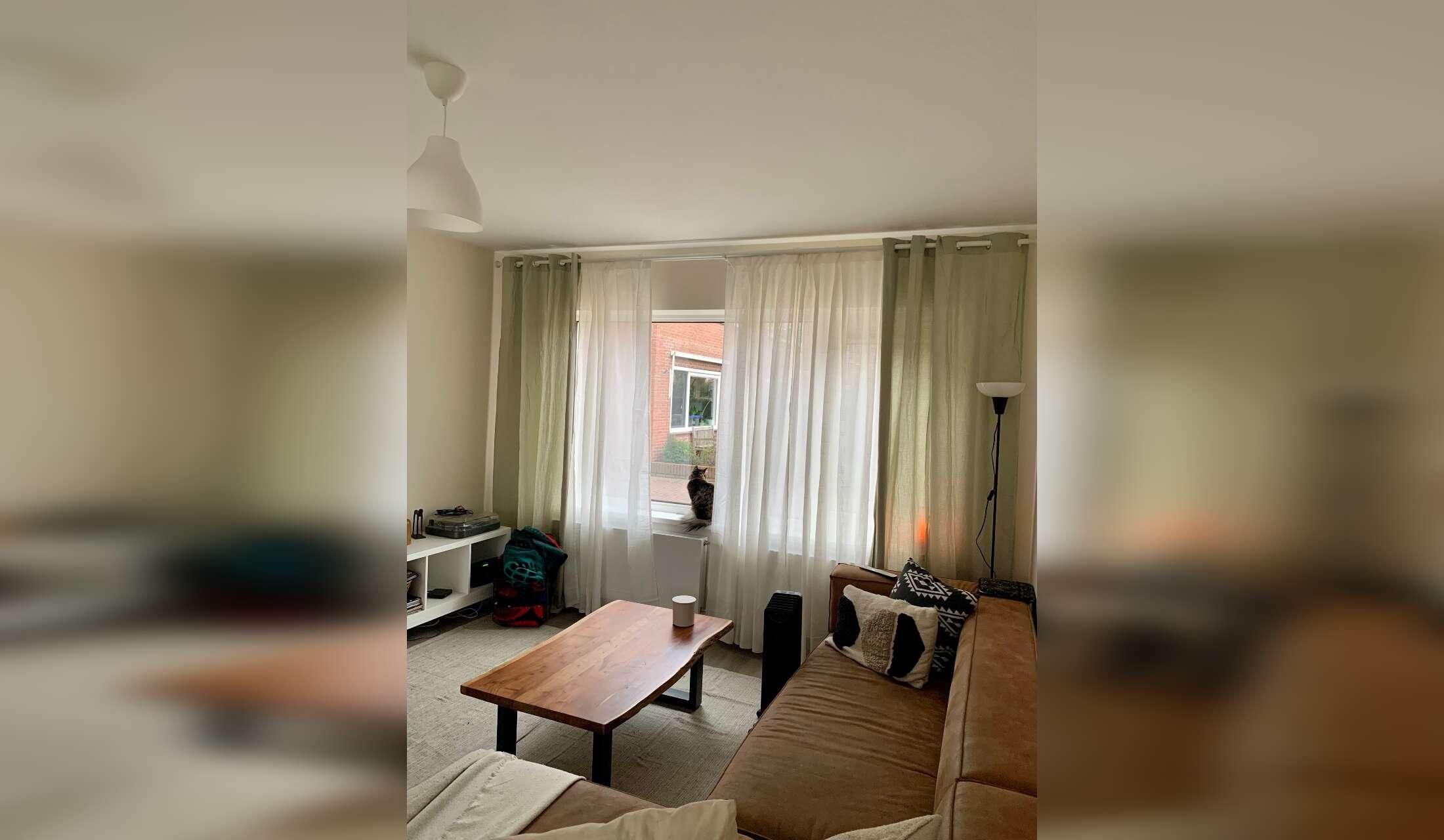 Pet & House sitter needed - Bussum - Image 2