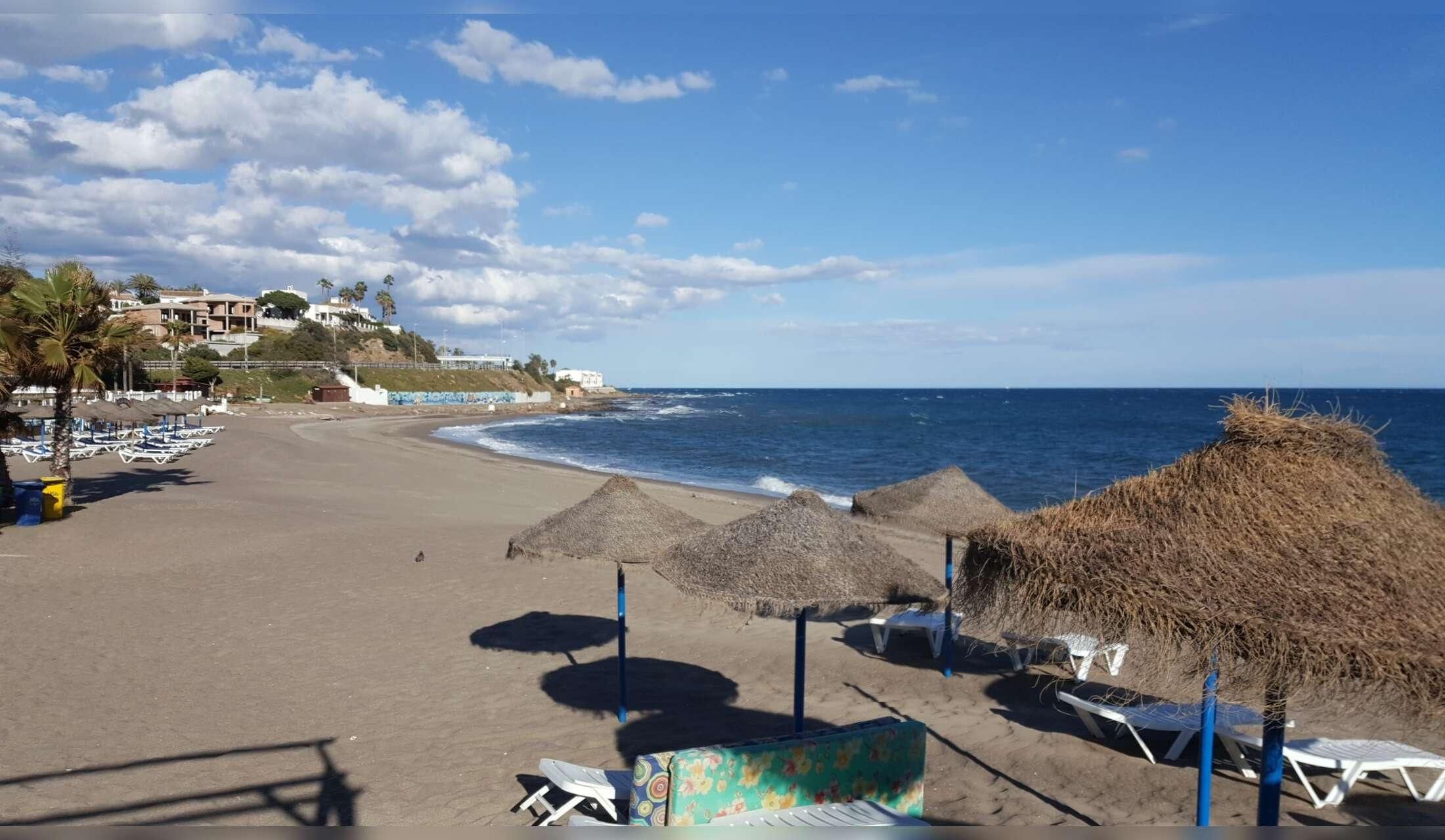 Finca in Andalucia offering pet sitting holidays - Image 9