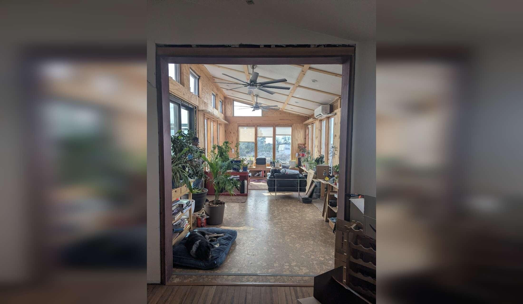 New Mexico Property with Dogs