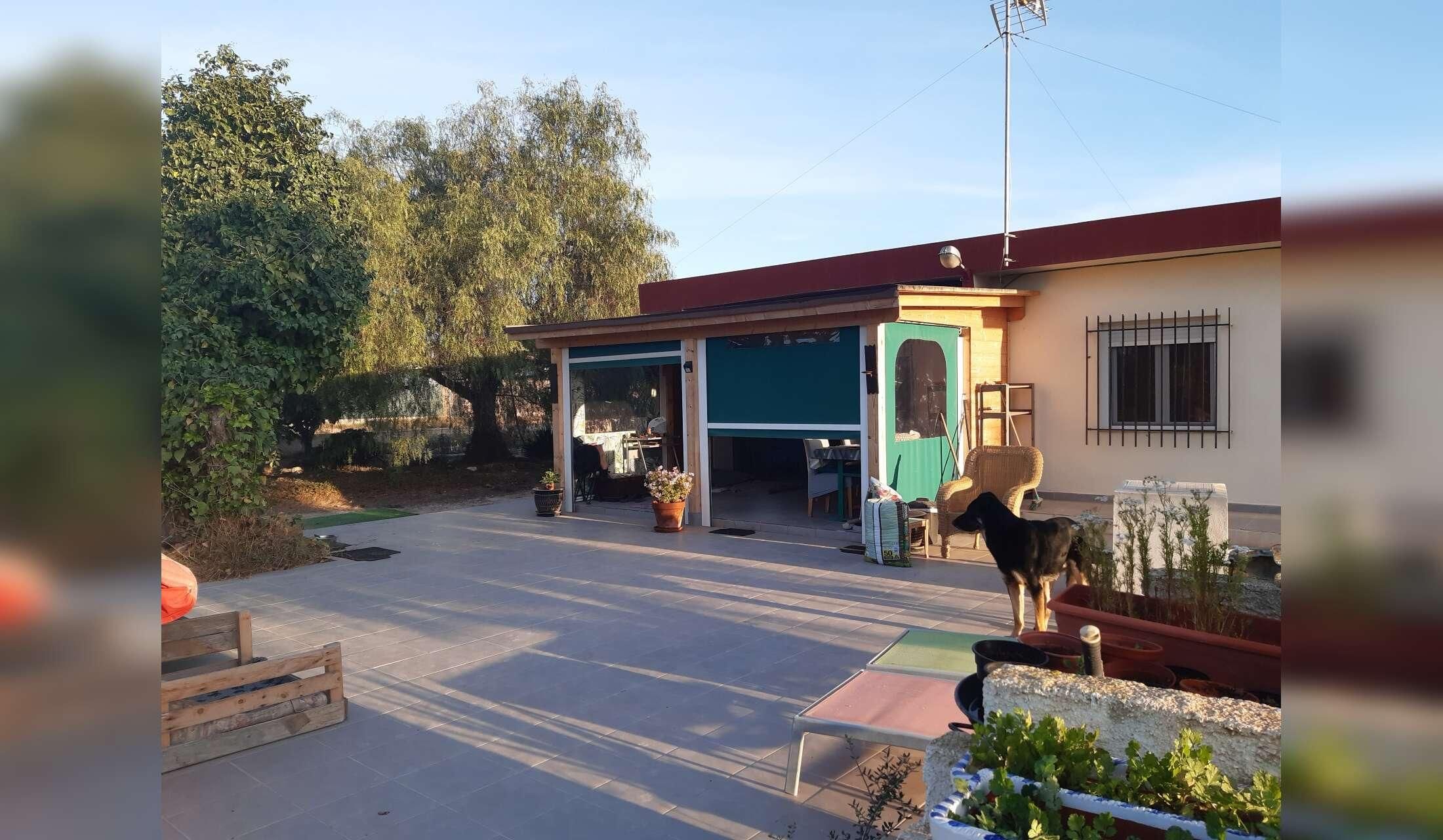 Animal sitters required from 6th - 15th September near Elche, Alicante - Image 6