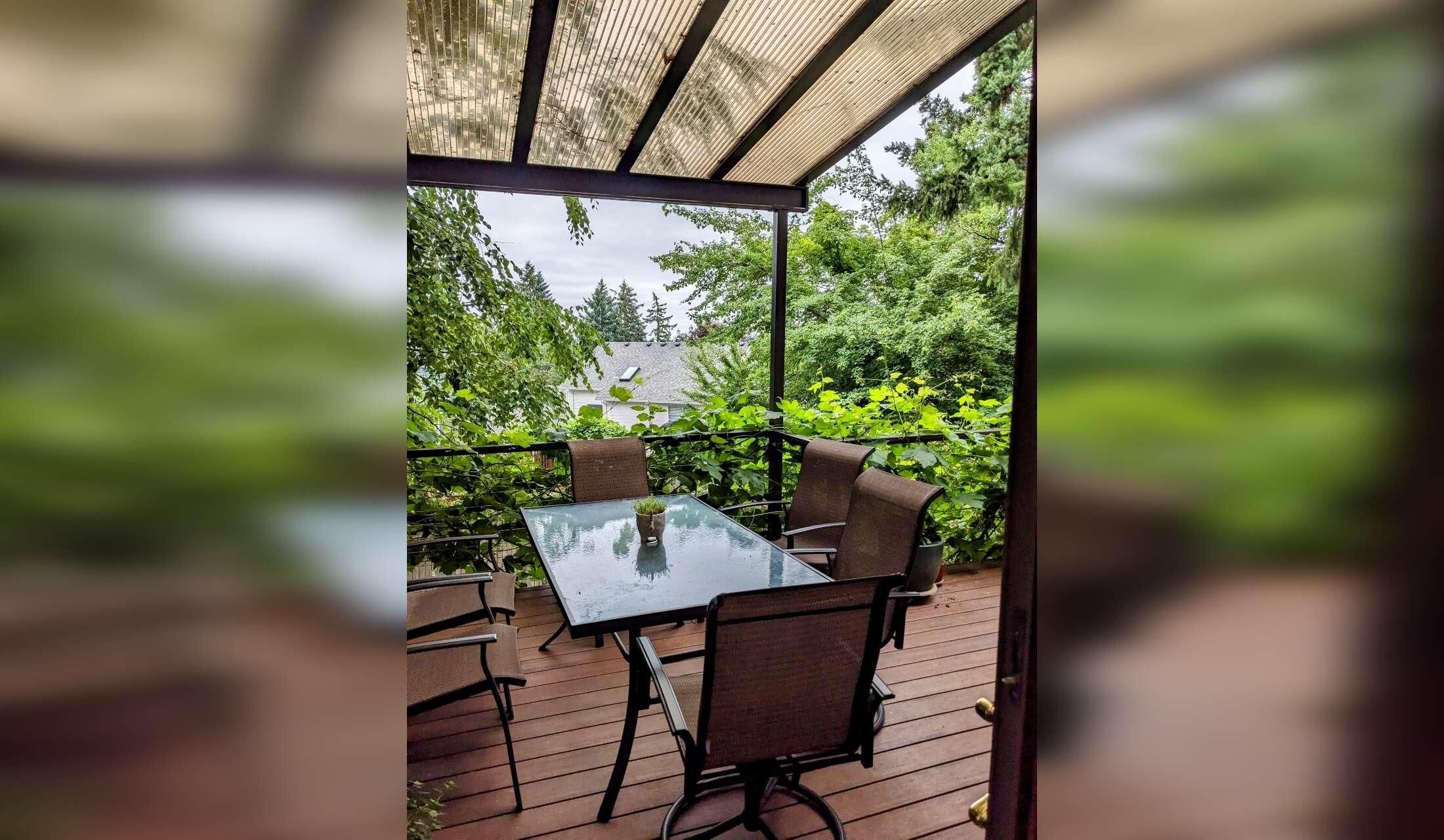 Catloving housesitter needed for 17 days in Portland Oregon Area - Image 2