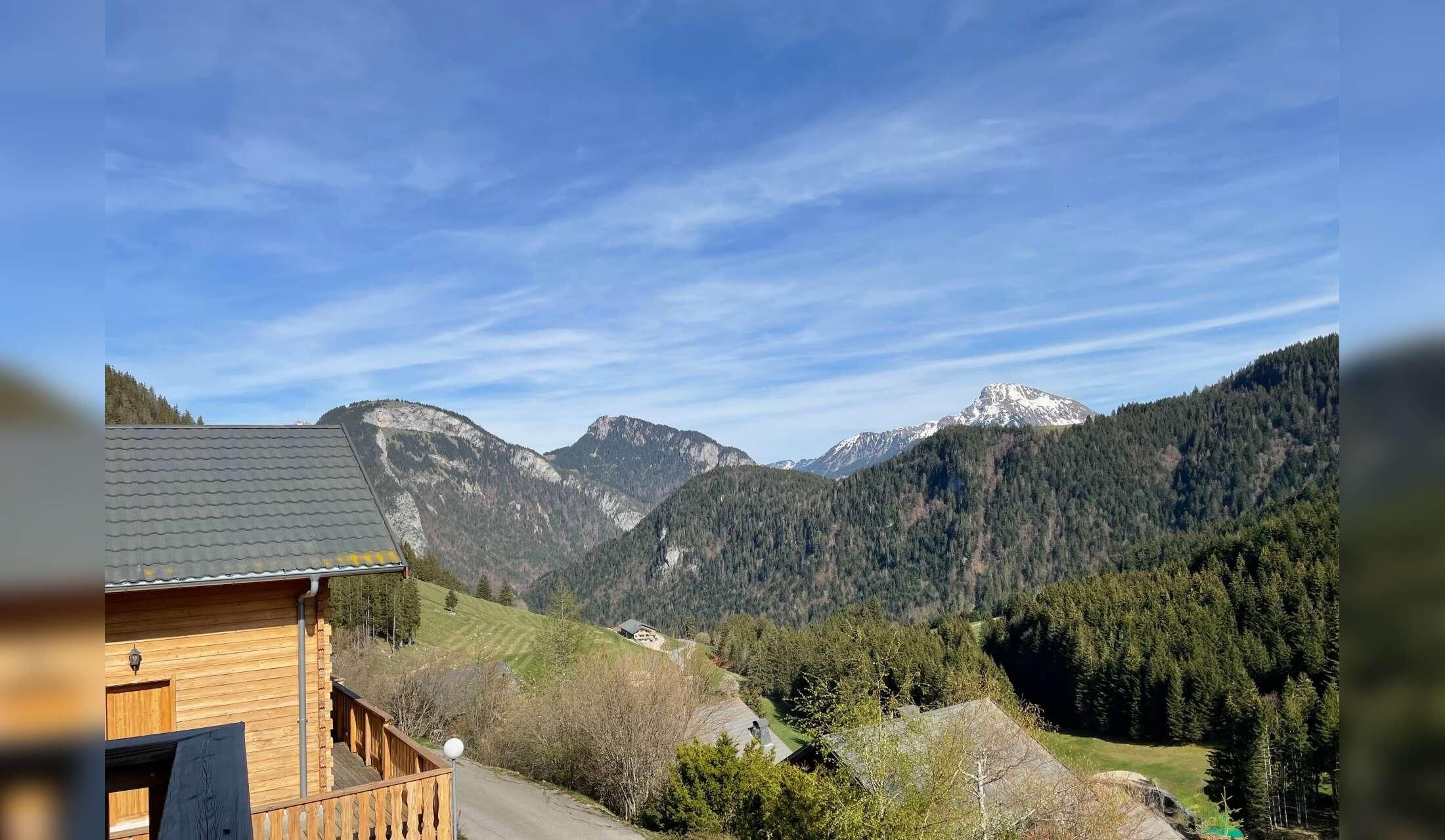 Cat and house sitter needed in a village in the French Alps - Image 9
