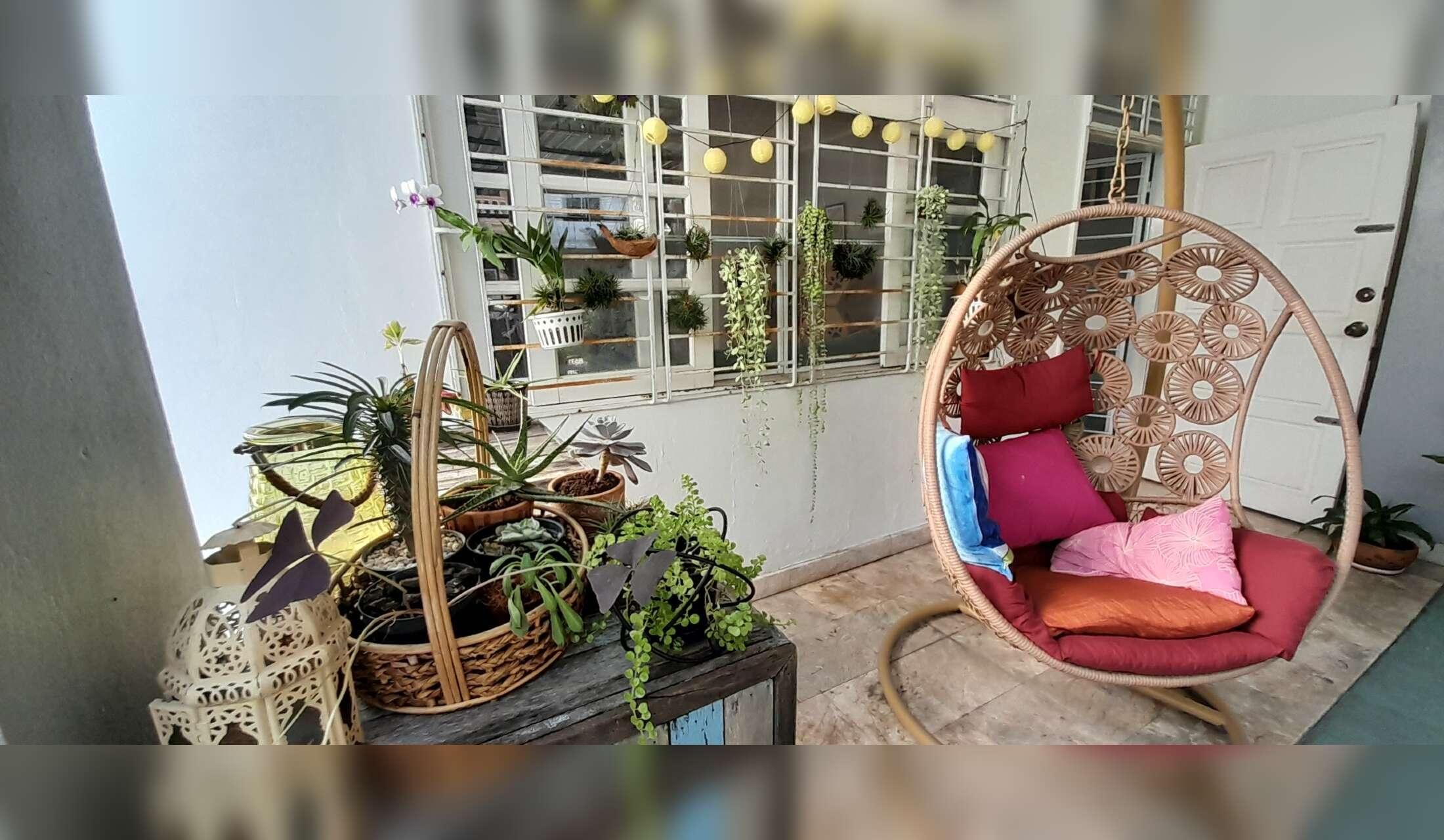 Fancy Xmas in Bangkok? Cats, fish, plants and house sitter wanted Sukhumvit 101, Bangkok - Image 4