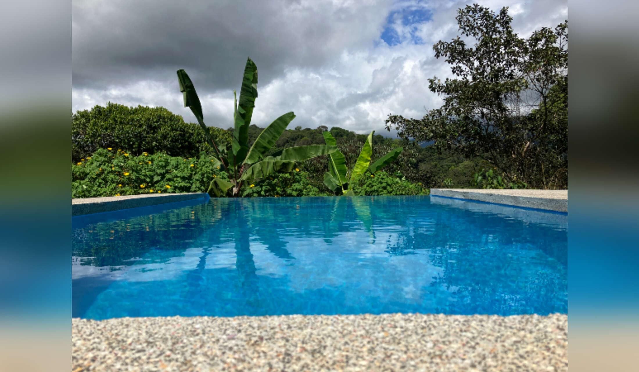 Tropical Paradise with Private Waterfall & Infinity Pool ? Dog Lovers Wanted! ?? - Image 2