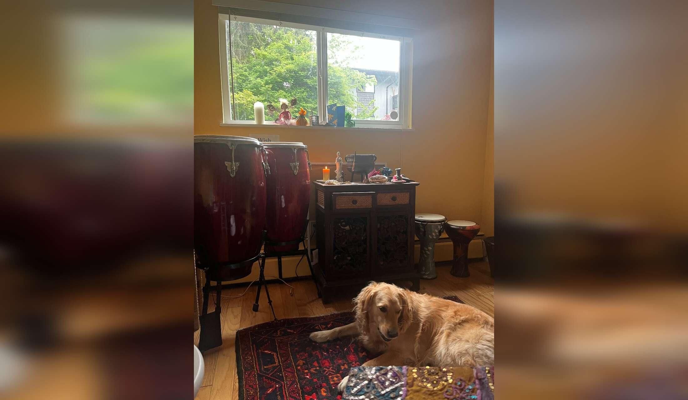 2 B floor level apt with rose garden, studio & adoring golden retriever Sept 13-20 - Image 8