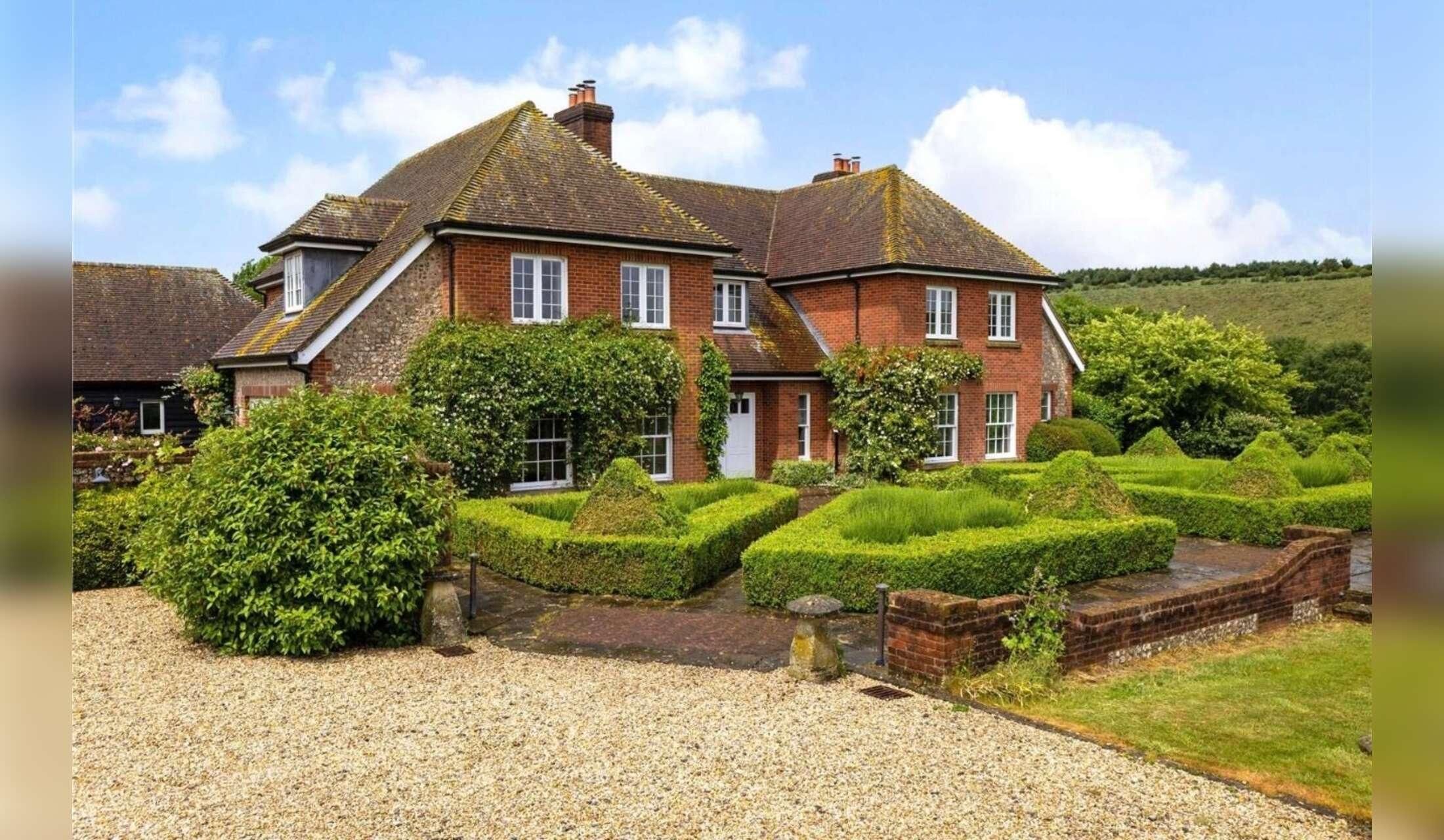 Gentle dog & playful cat looking for company in stunning Wiltshire countryside