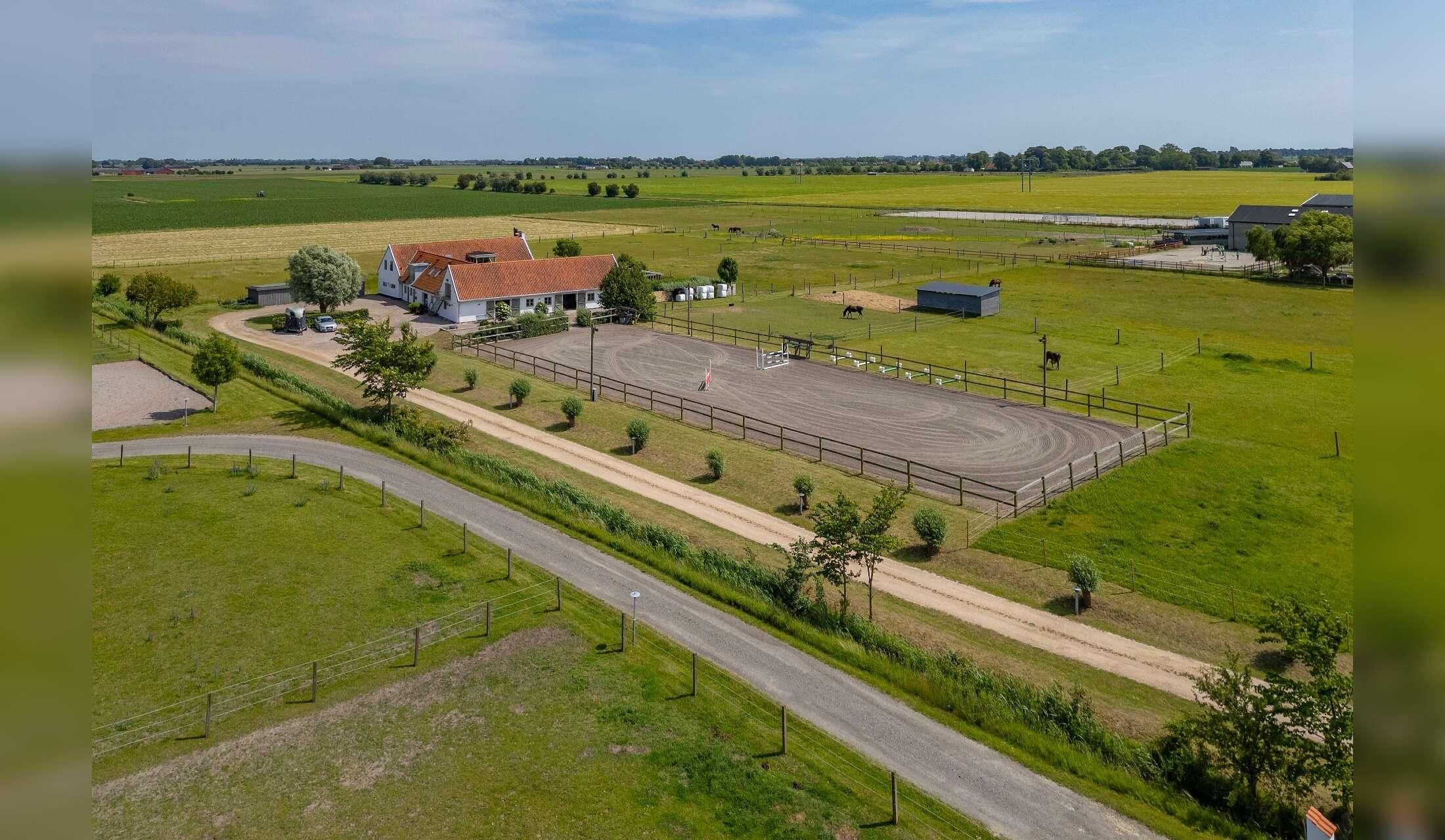 Small horse farm in south of Sweden
