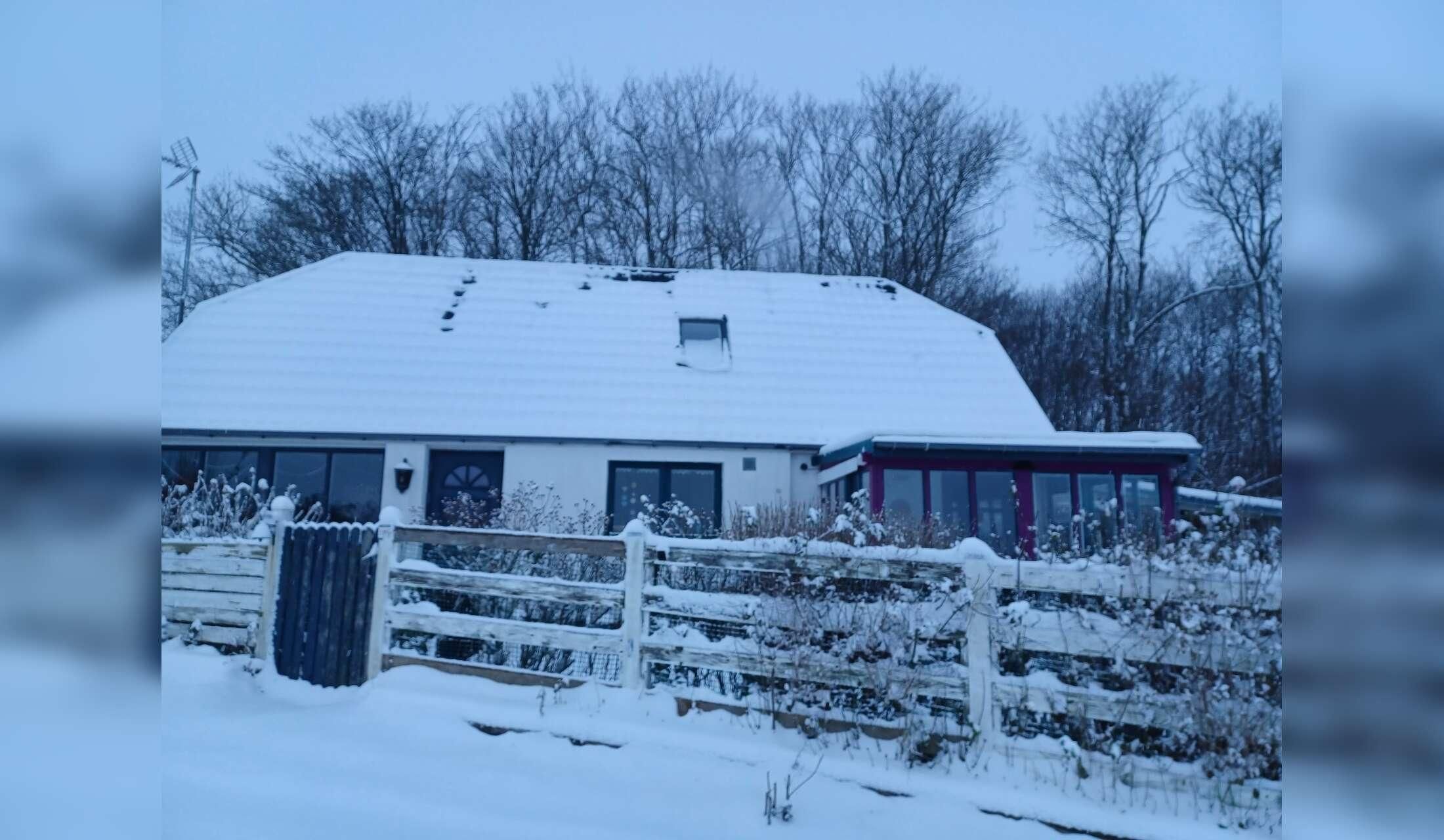 Looking for a house and cat-sitter (Aarhus, Denmark)