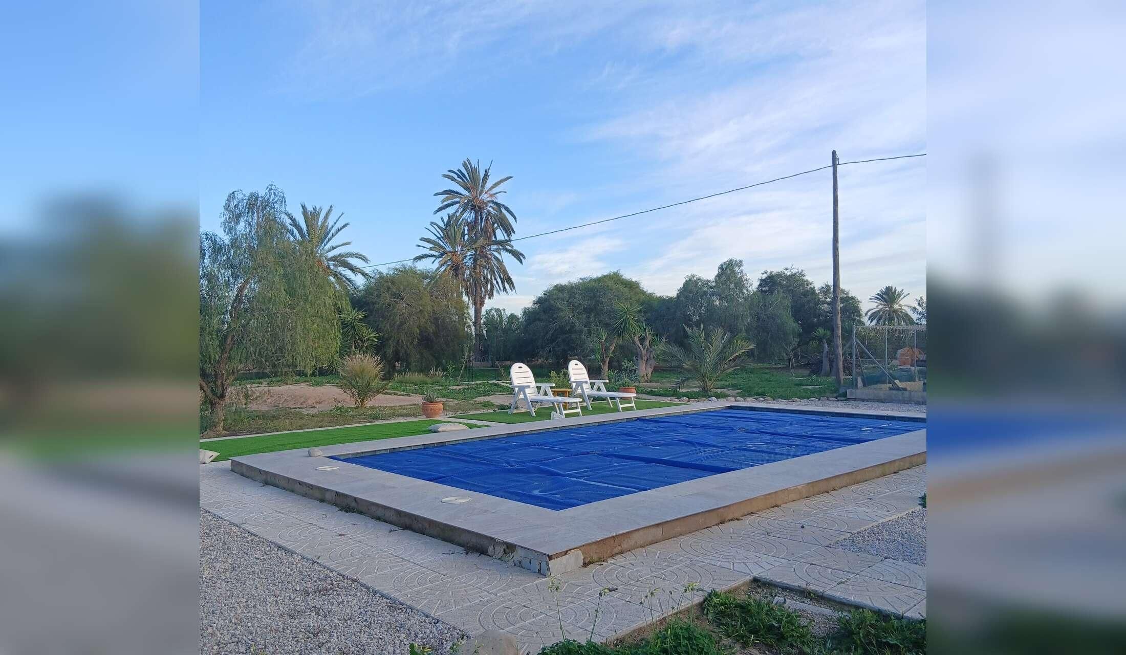 Animal sitters required from 6th - 15th September near Elche, Alicante - Image 3